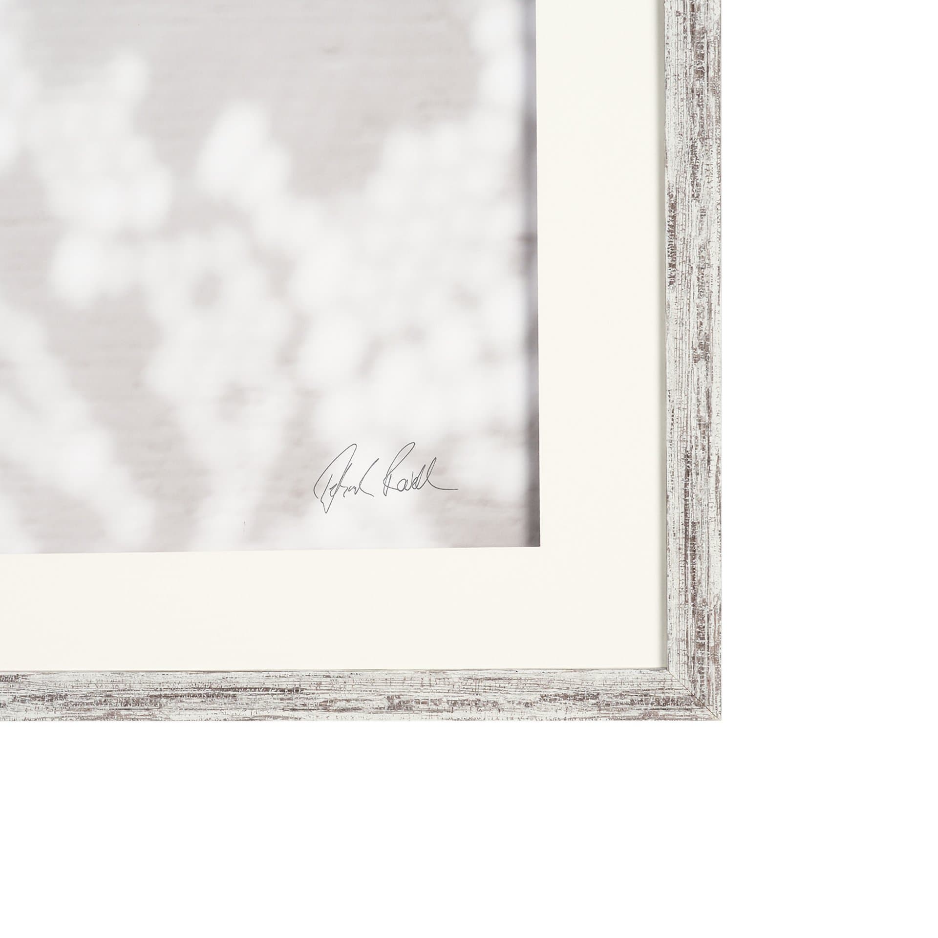 Urchins in Lace I by Deborah Revell a Hand Embellished Framed Print under Glass — product photograph