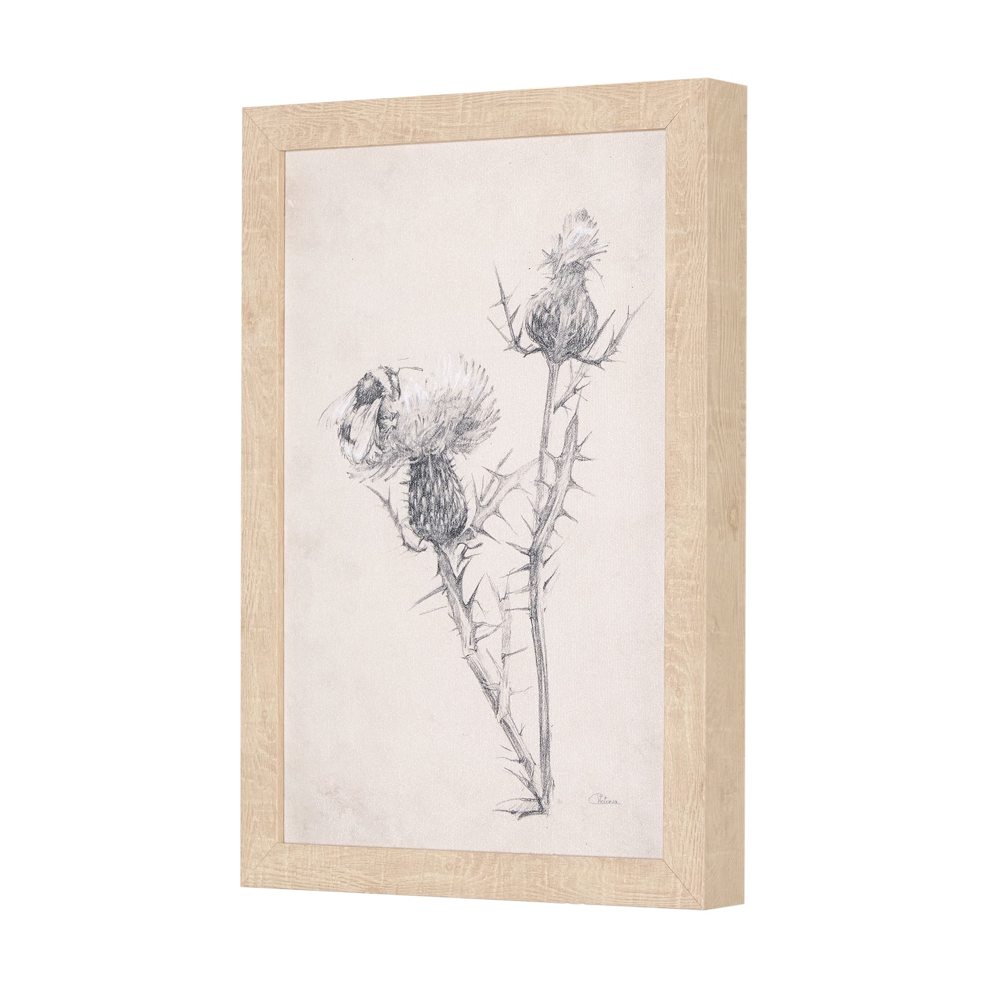 Chamomile Drawing I by Mercana Studio a Hand Embellished Textured Framed Art Print — product photograph