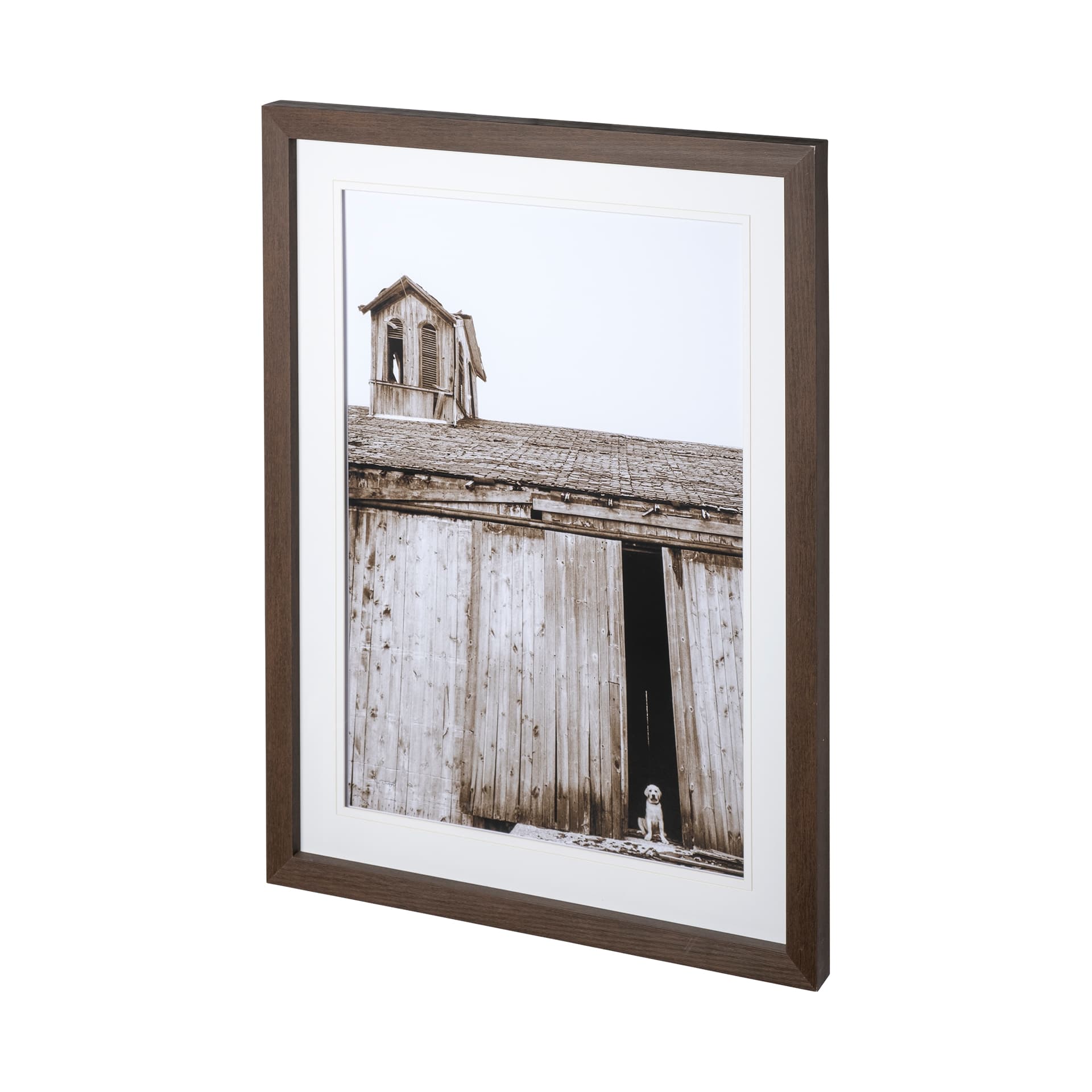 Barnyard Dog v2 by Mercana Studio a Framed Photo Art Print Matted under Glass — product photograph