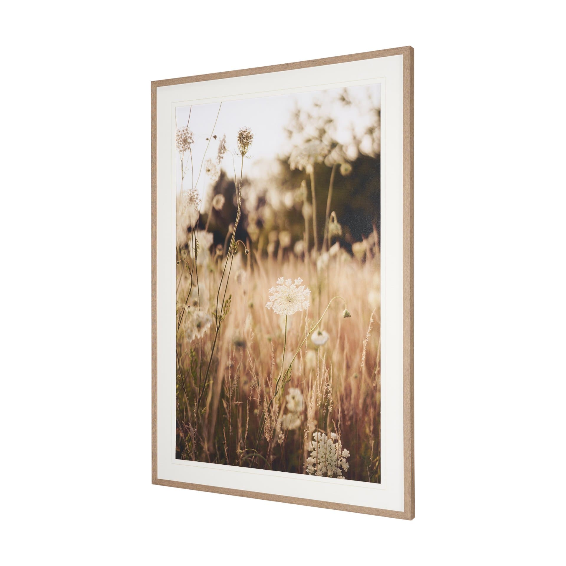 Wild Carrot Flowers by Zaira Zarotti Textured Framed Photo Print Matted under Glass — product photograph