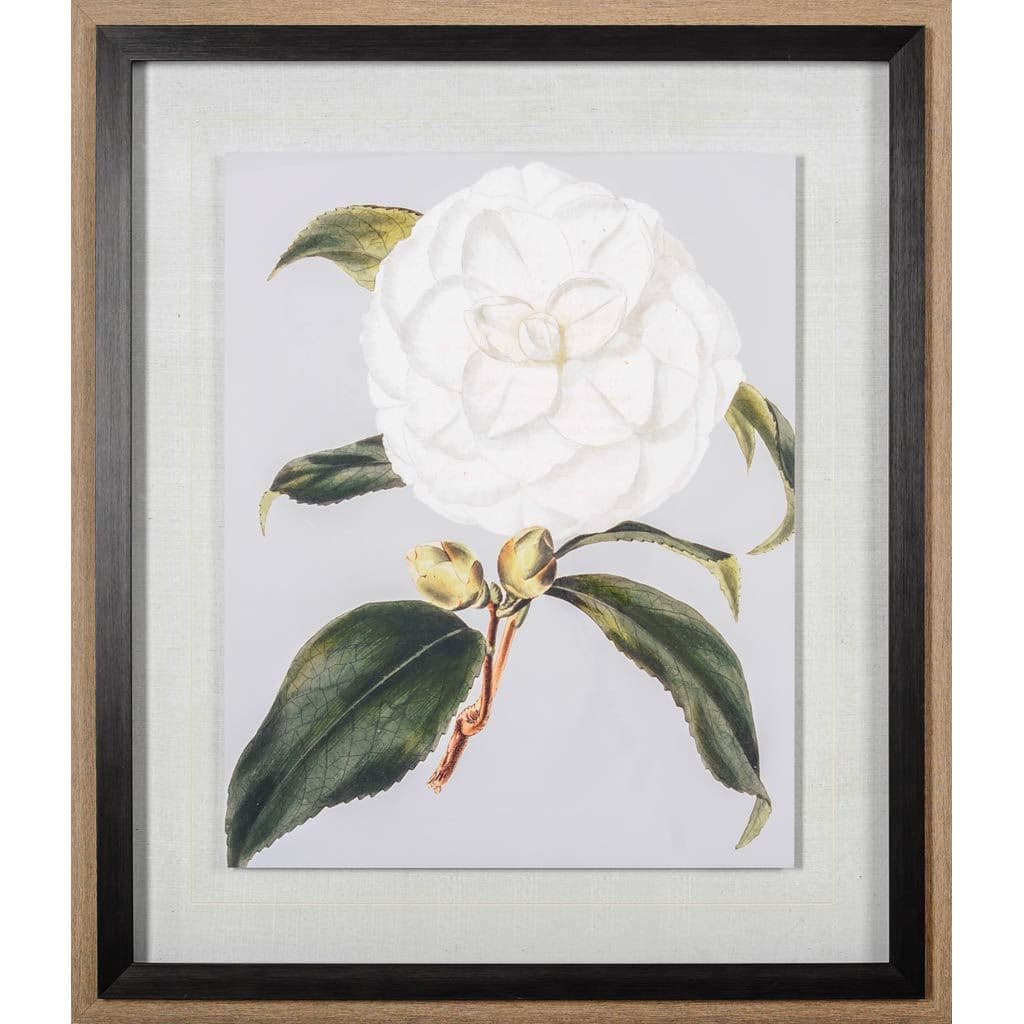 Camellia Japonica I by Vision Studio a Hand Embellished Textured Framed Art Print Matted under Glass — product photograph
