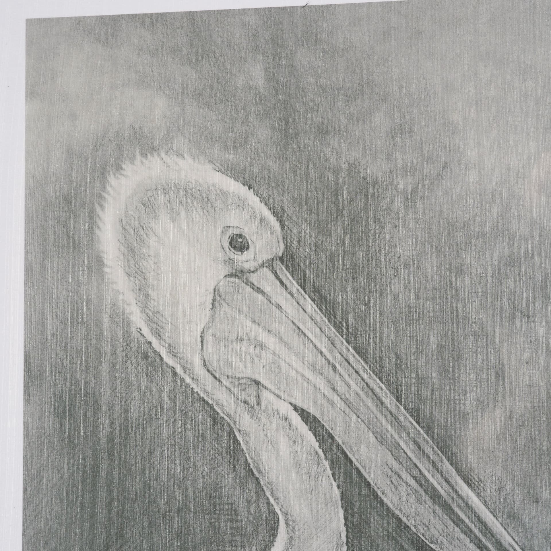 Pelican Sketch by Mercana Studio a Hand Embellished Framed Art Print Matted under Glass — product photograph