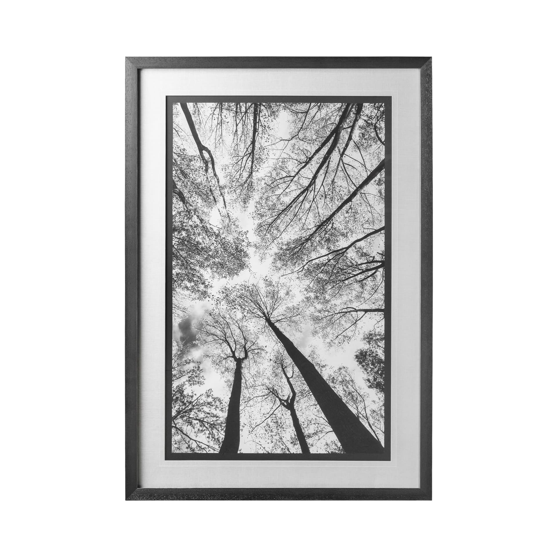 Looking Up I BW by Mercana Studio a Hand Embellished Textured Framed Photo Art Print Matted under Gl — product photograph
