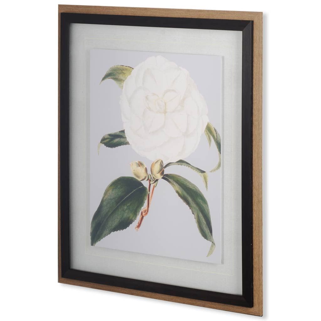 Camellia Japonica I by Vision Studio a Hand Embellished Textured Framed Art Print Matted under Glass — product photograph