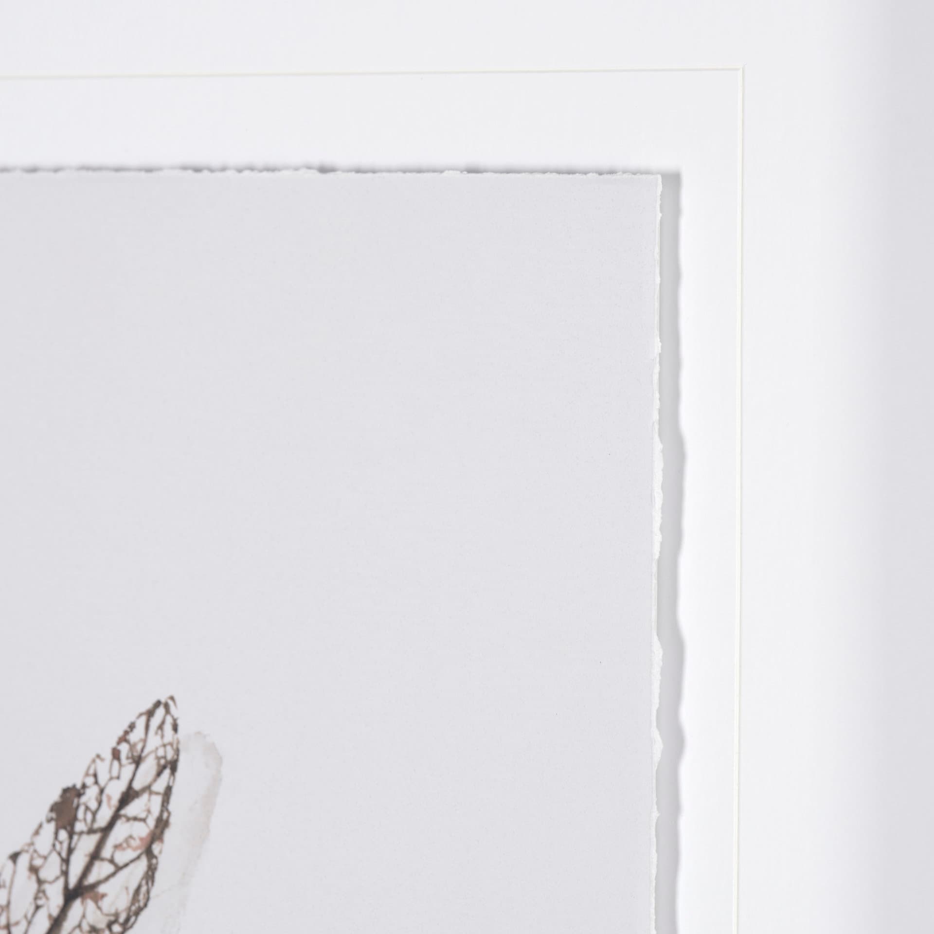 Olive Branch I by Gabrielle a Framed Art Print Matted under Glass — product photograph