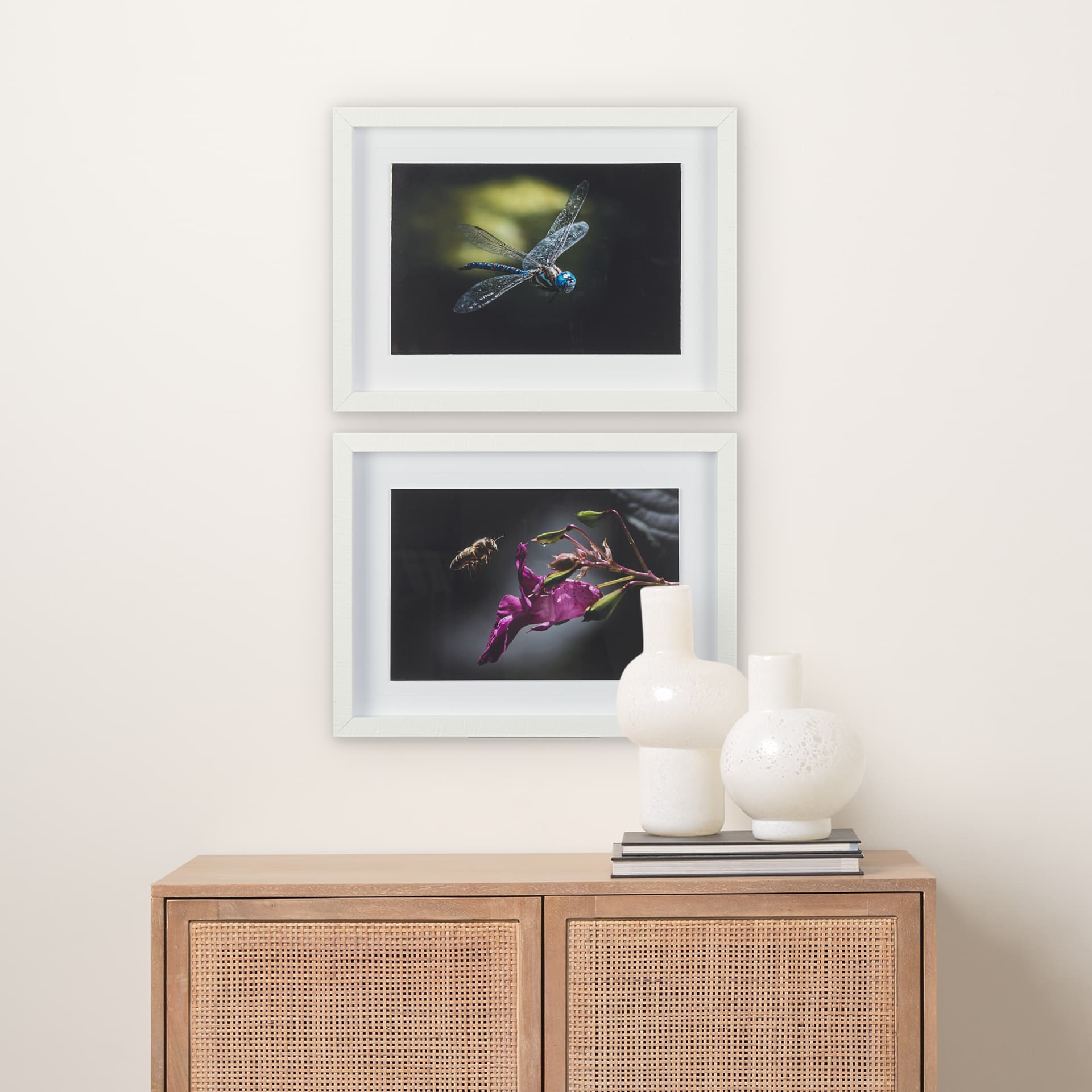Dragon Fly by Mercana Studio a Framed Photo Art Print Matted under Glass — in a styled room