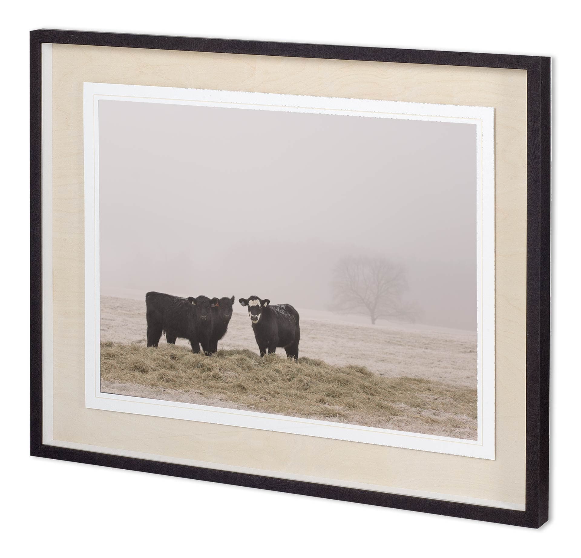 Custom Farm Study V by Adam Mead a Framed Photo Art Print Matted under Glass — product photograph