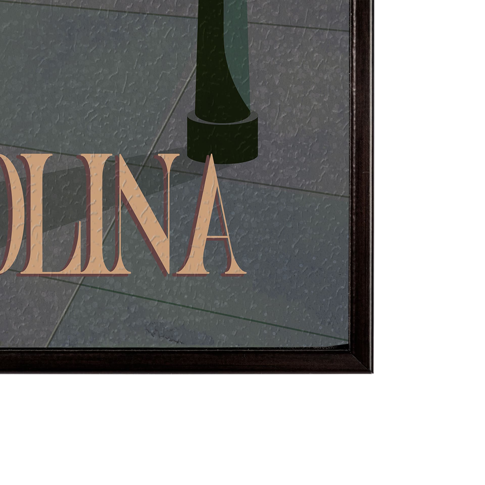 South Carolina Go USA (SM) by Mercana Studio a Hand Embellished Decograph Framed Art Print — product photograph