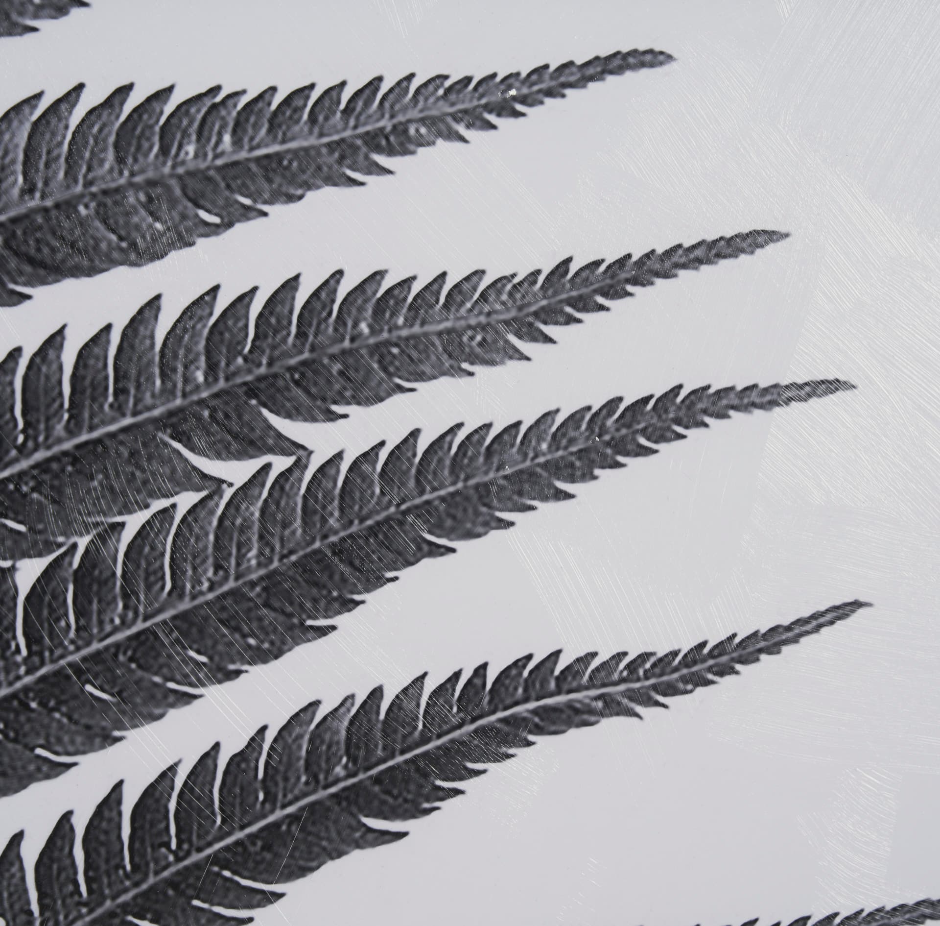 Truth by Debra Van Swearingen a Hand Embellished Framed Photo Art Print Matted under Glass — product photograph