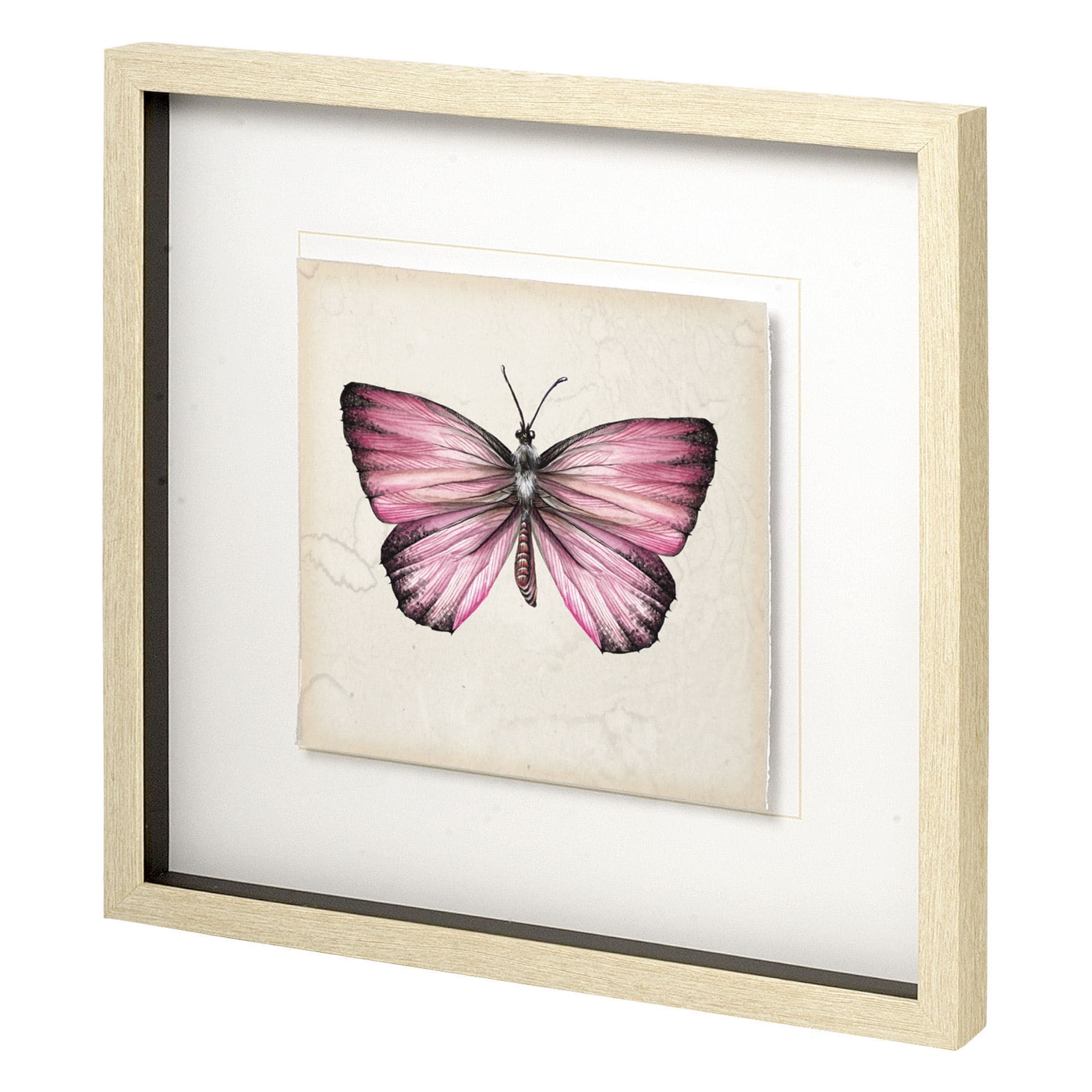 Butterfly Study IV by Melissa Wang a Hand Embellished Textured Framed Art Print Matted under Glass — product photograph