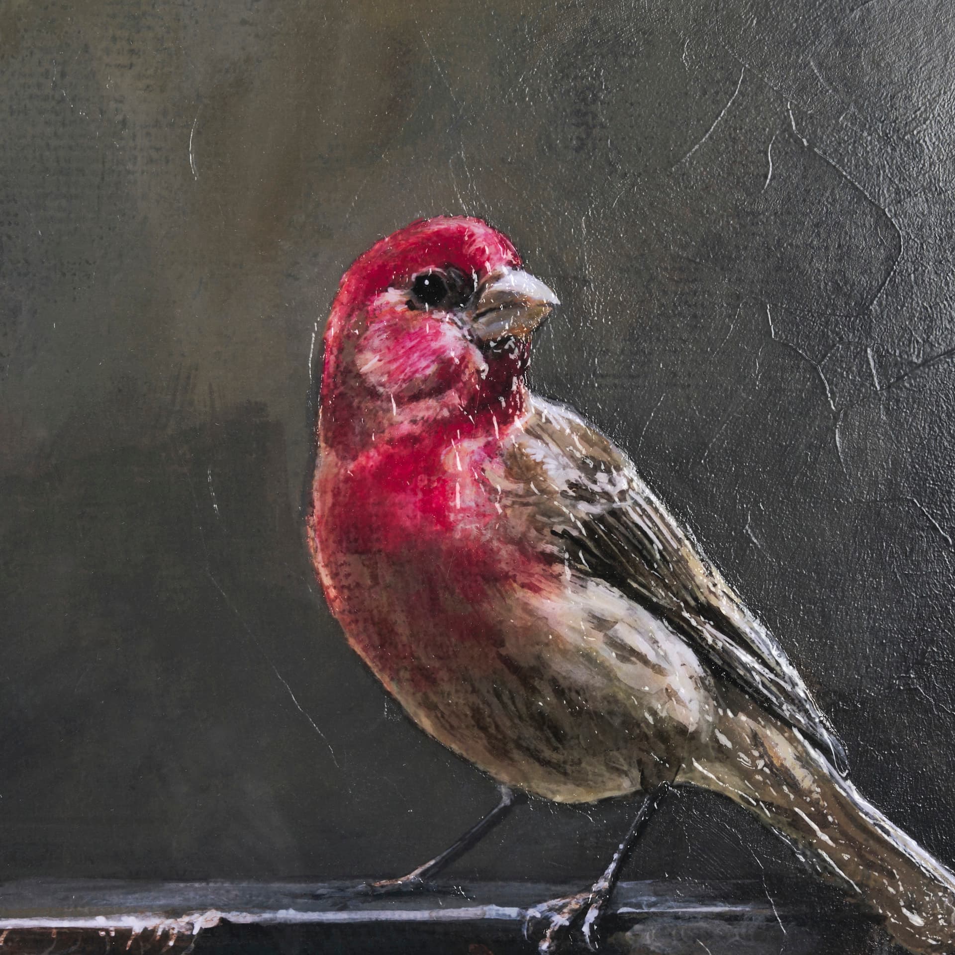 Graceful Poise I (House Finch) by Mercana Studio a Hand Embellished Framed Art Print Matted under Gl — product photograph