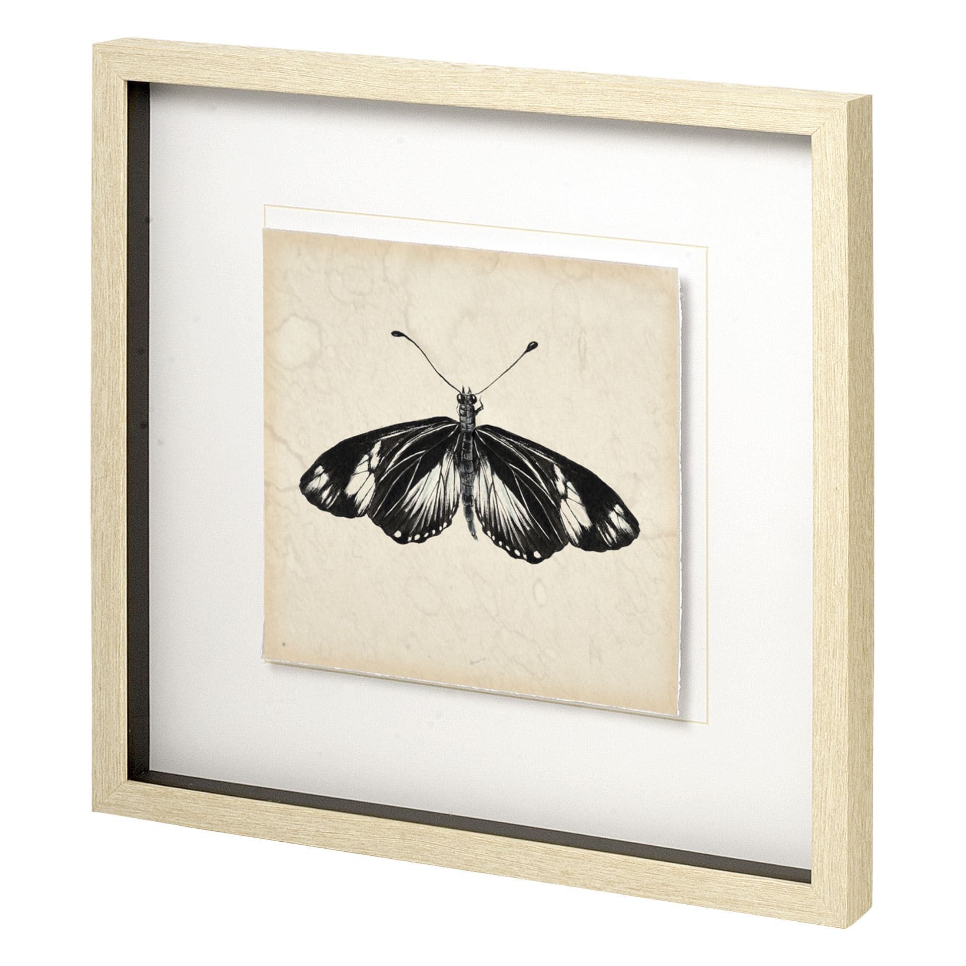 Butterfly Study VI by Melissa Wang a Hand Embellished Textured Framed Art Print Matted under Glass — product photograph