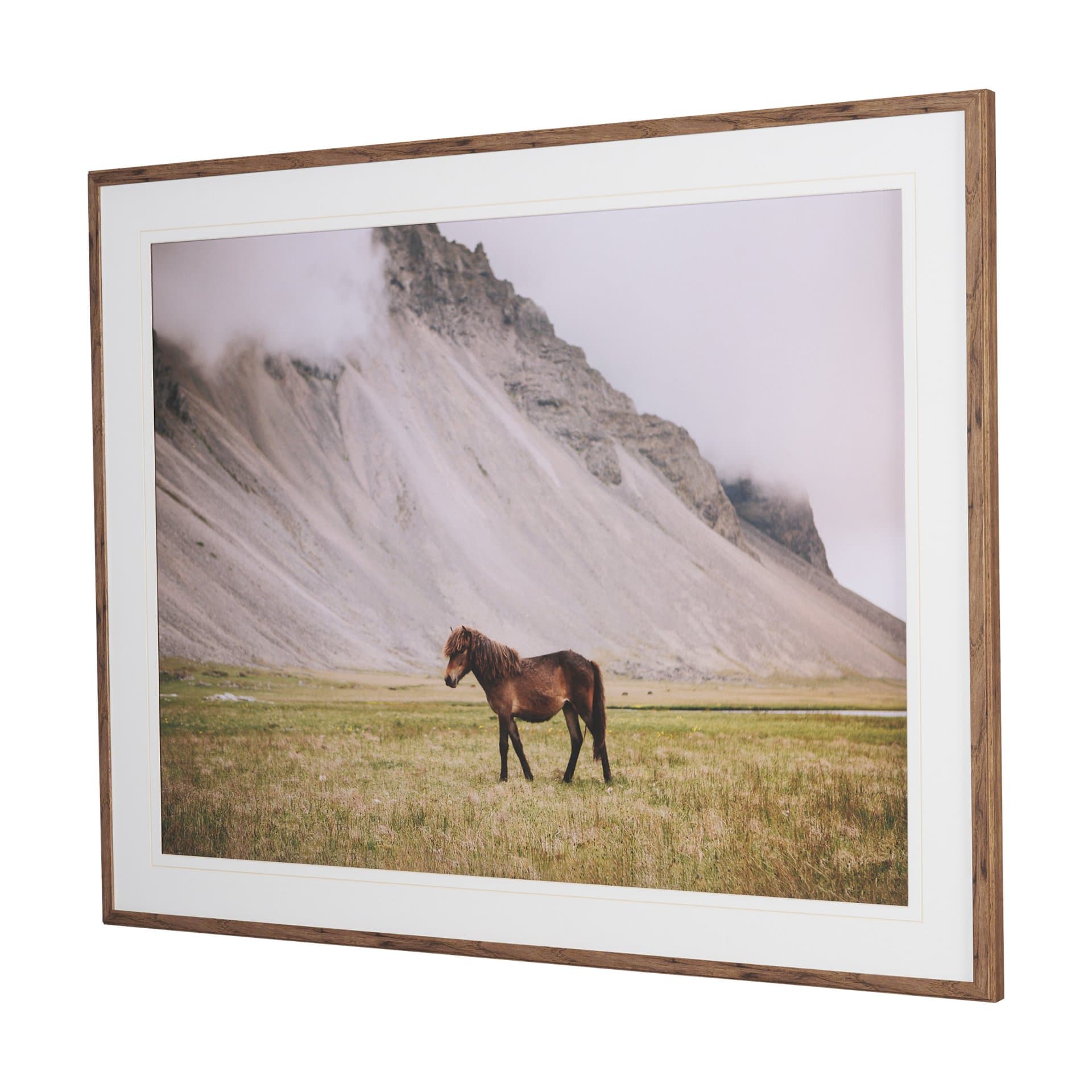 Icelandic Horse by Stefan and Audrey Framed Photo Print Matted under Glass — product photograph