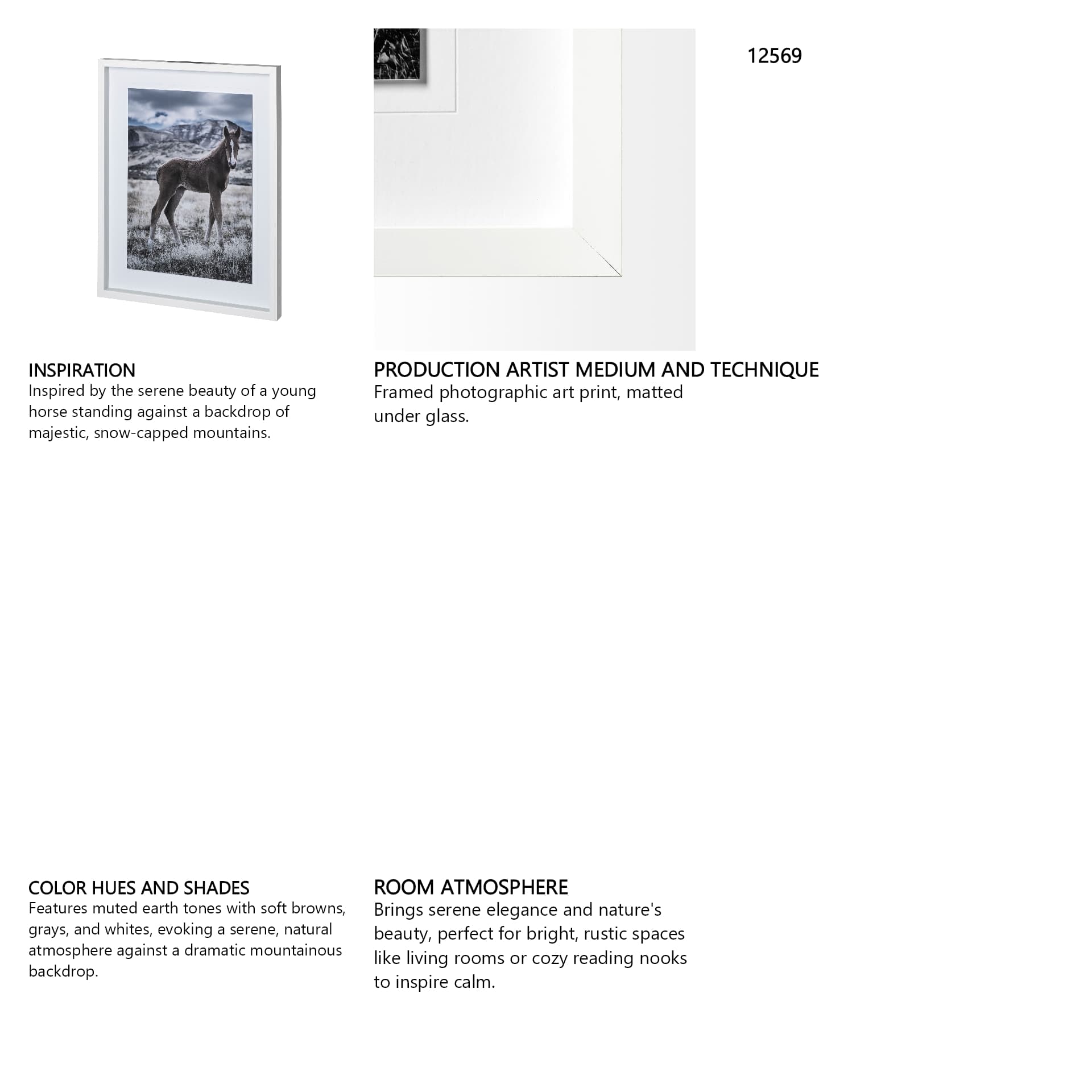 Horse 3 by Dunker a Framed Photo Art Print Matted under Glass — in a styled room