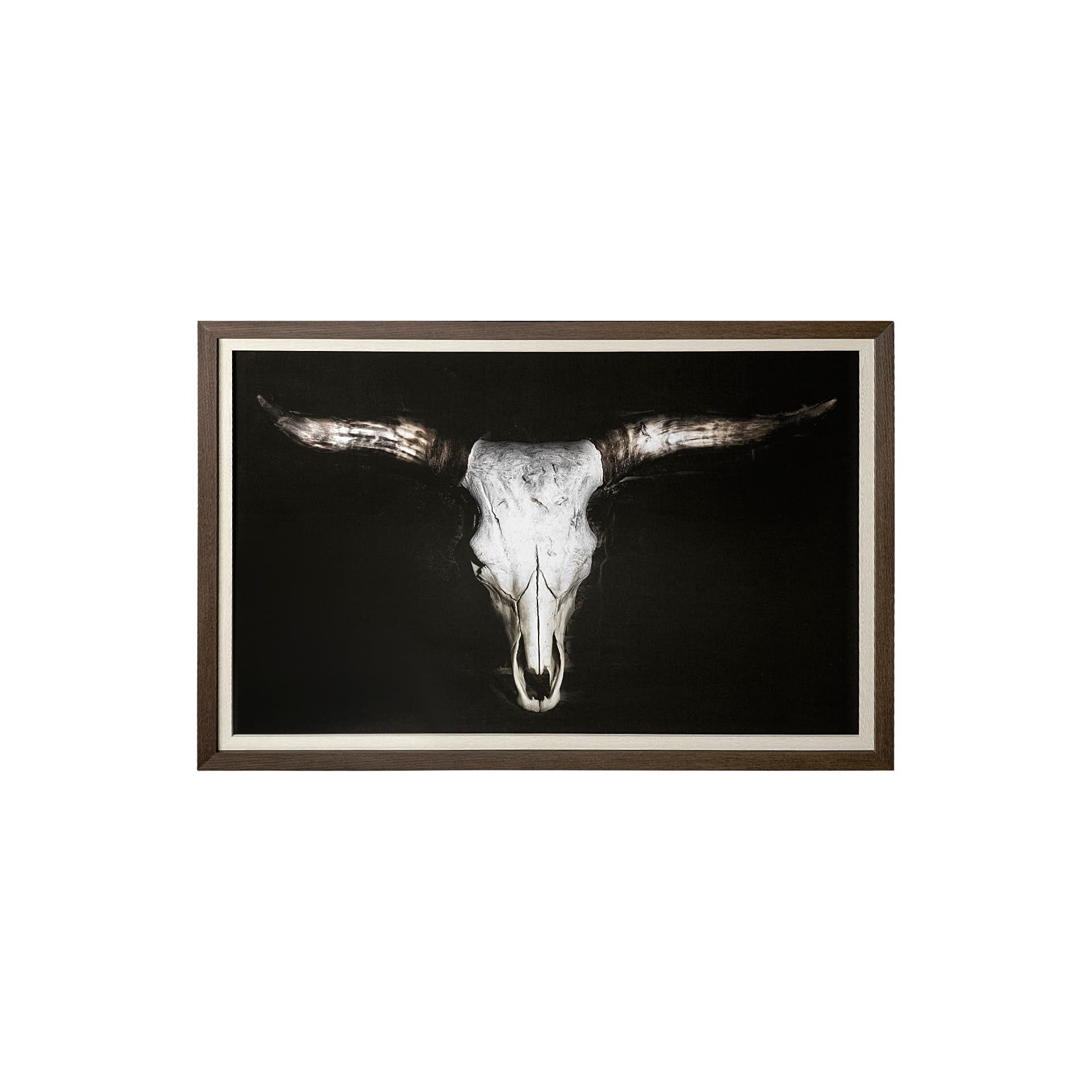 Cow Skull by PH Burchett a Hand Embellished Textured Framed Art Print Matted under Glass — product photograph