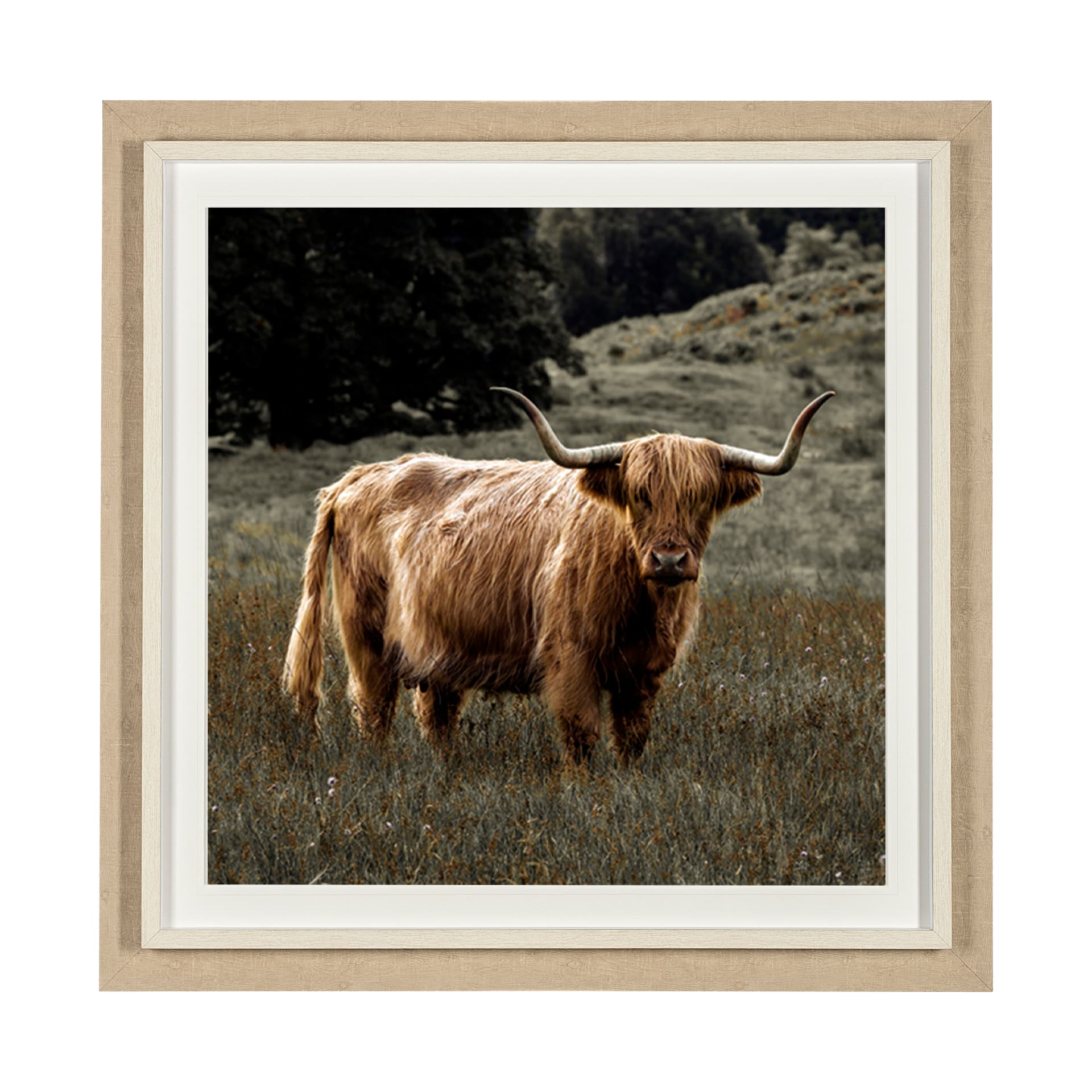 Humphry by Assaf Frank a Framed Photo Art Print Matted under Glass — product photograph