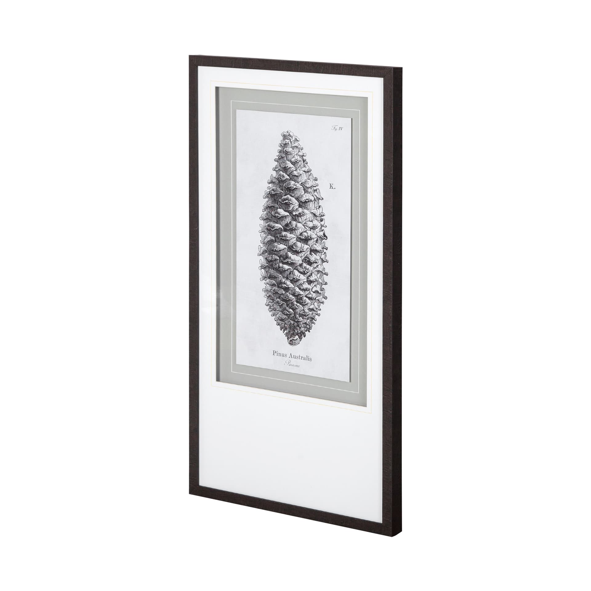 Pinus Australis by Maria Mendez a Framed Art Print Matted under Glass — product photograph