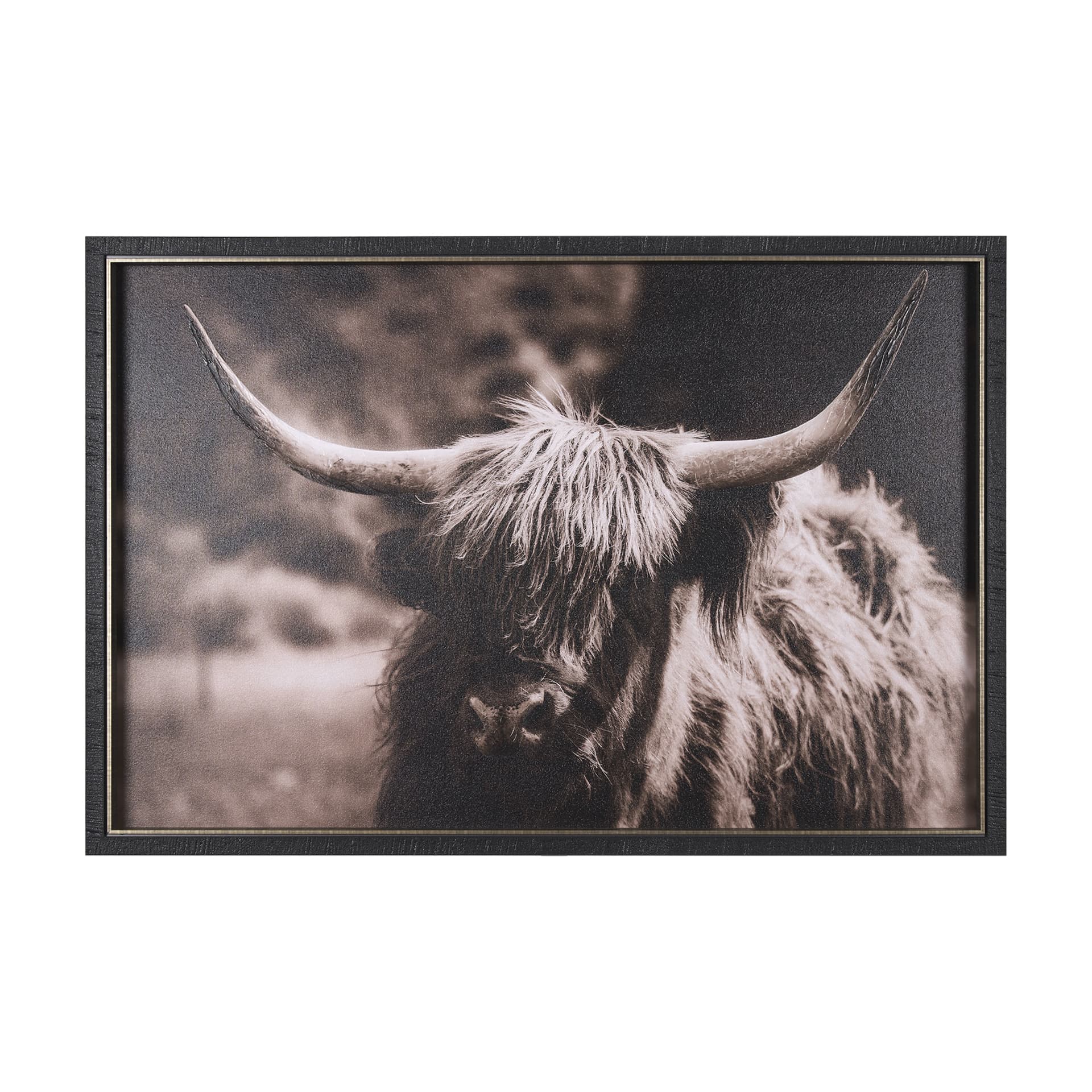 Highland Stare by Chad Mackay a Hand Embellished Textured Framed Photo Art Print — product photograph