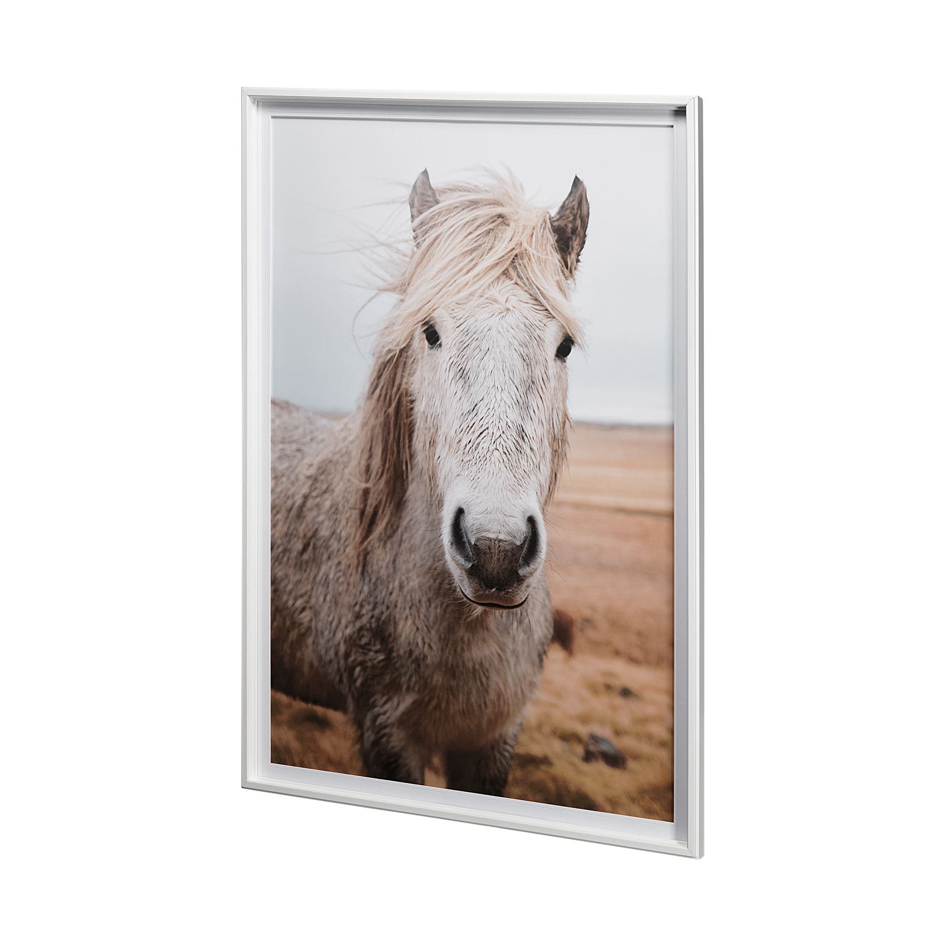 49822 Heida I by Laura Marshall a Framed Photo Art Print Matted under Glass — product photograph