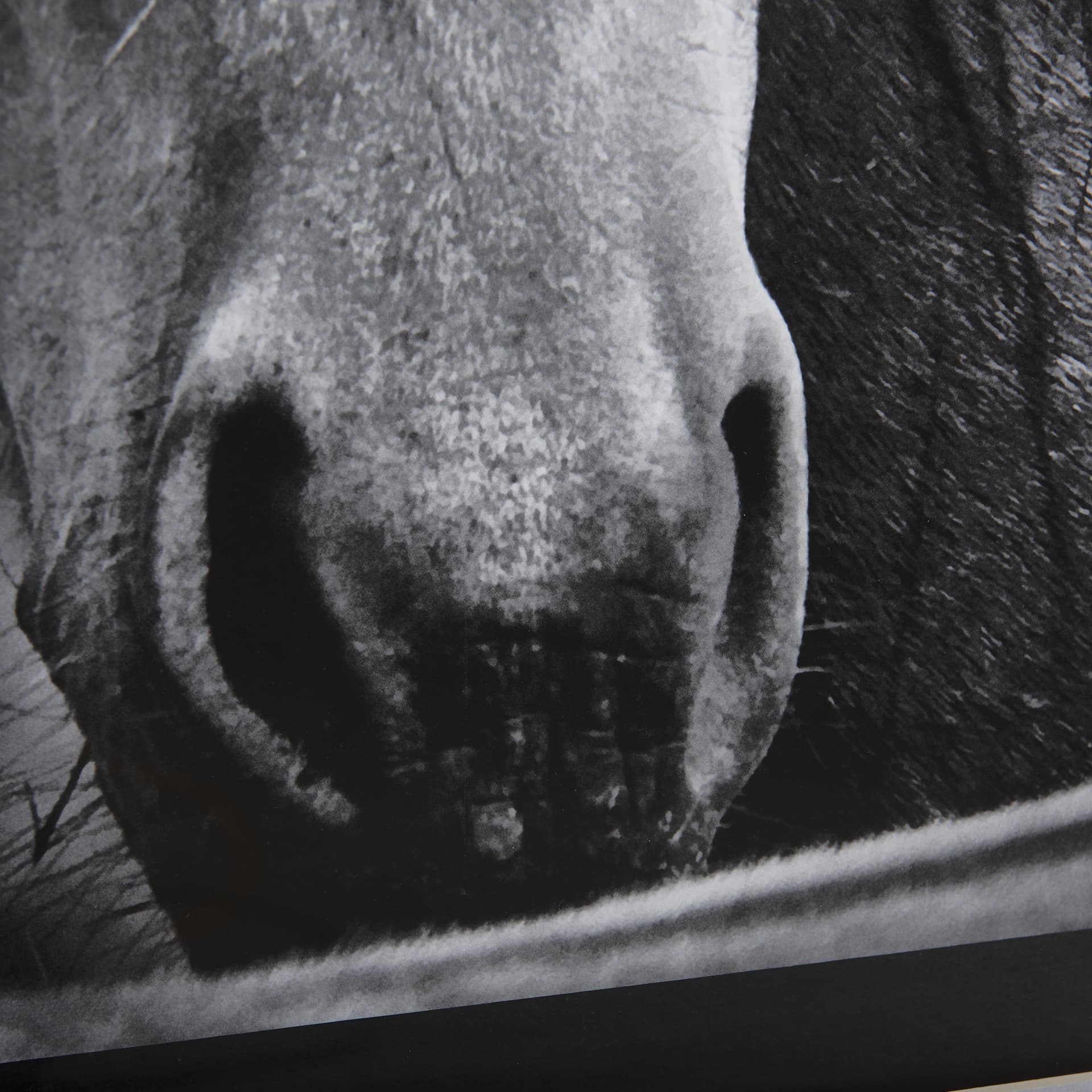 Watched Presence by Mercana Studio a Hand Embellished Textured Framed Photo Art Print Matted under G — product photograph