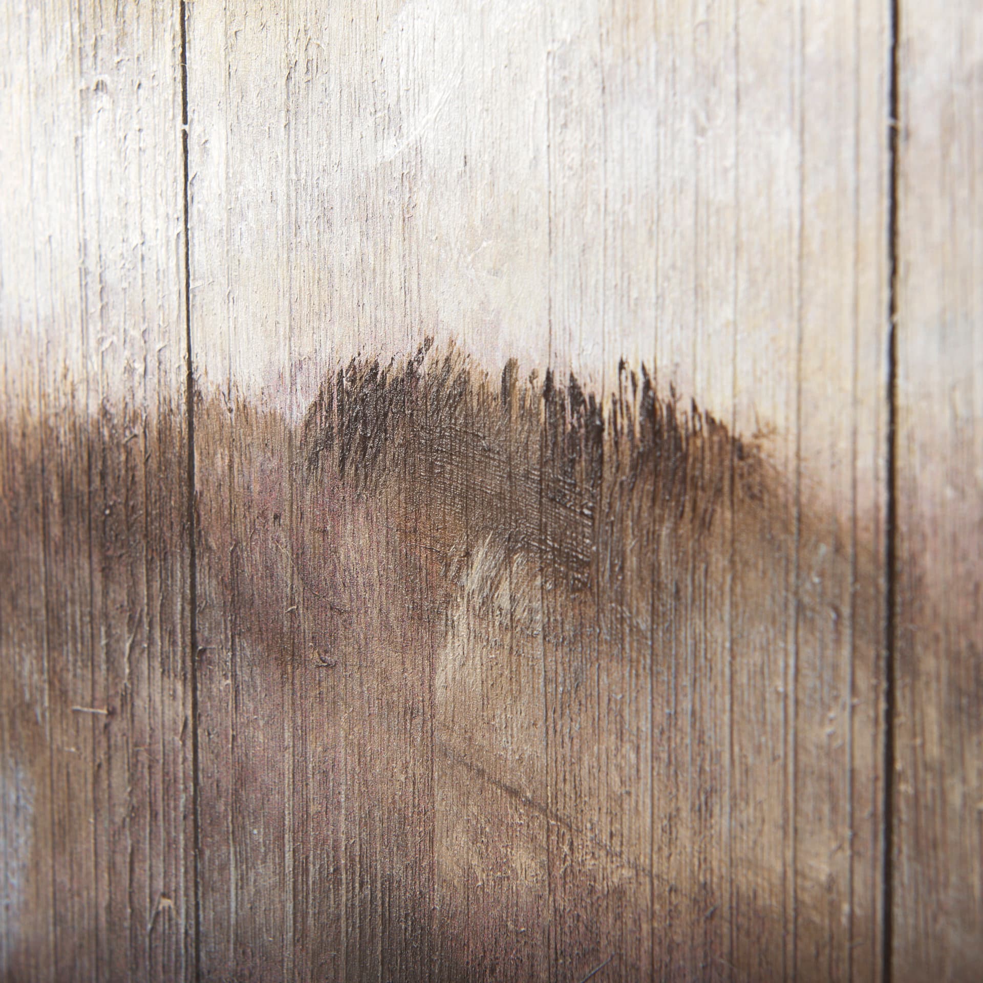 Wild Ox Painting on Wood — product photograph
