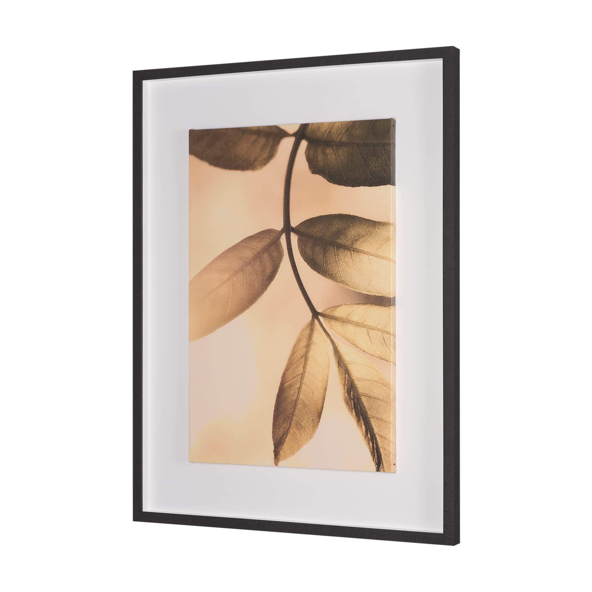 Leaf Imaging by Michael Banks a Hand Embellished Framed Photo Art Print Matted under Glass — product photograph