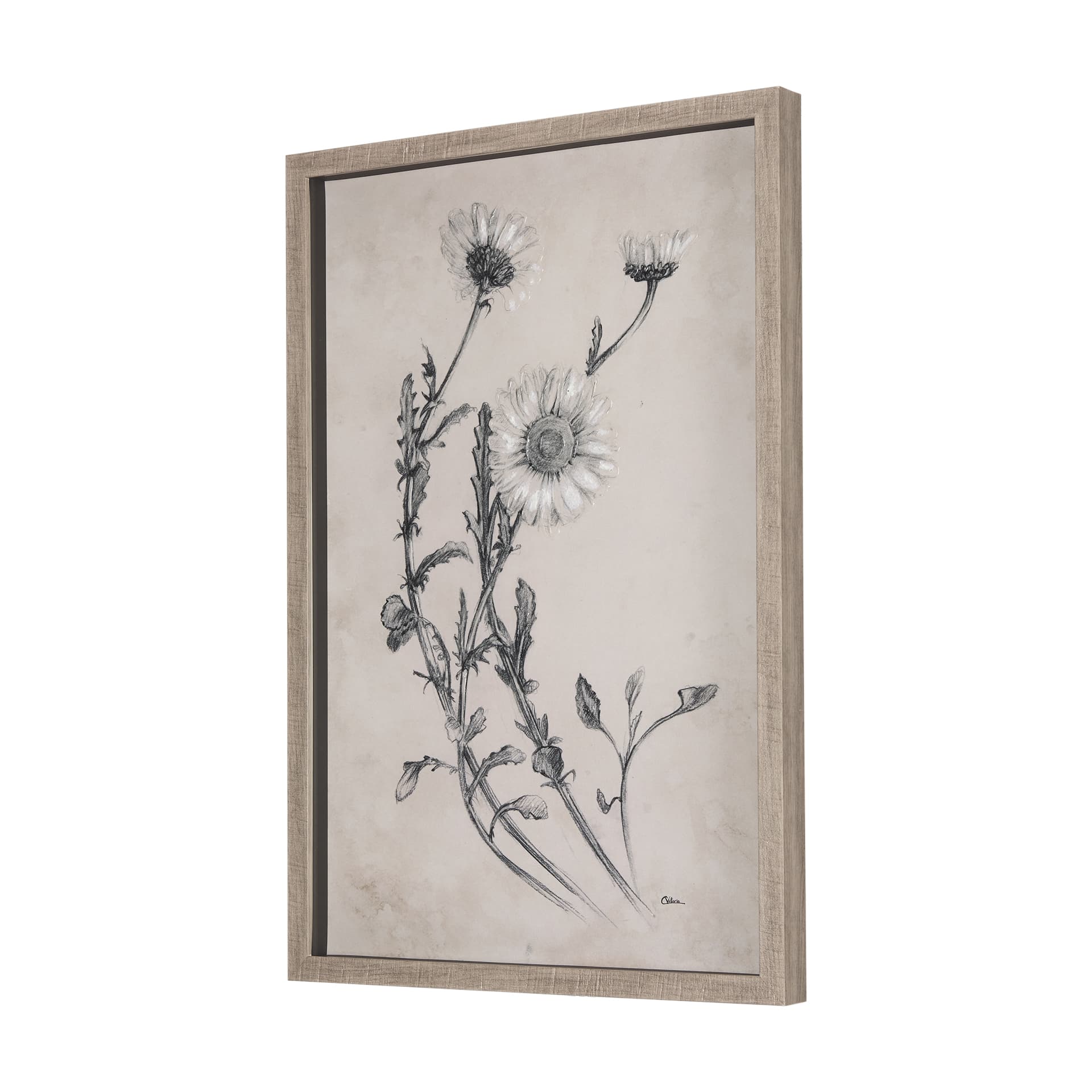 Chamomile Drawing I by Mercana Studio Hand Embellished Textured Framed Art Print Matted under Glass — product photograph