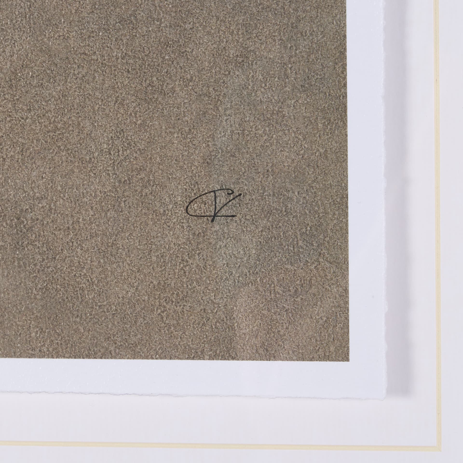 Palomino Blanket by Mercana Studio a Hand Embellished Textured Framed Art Print — product photograph