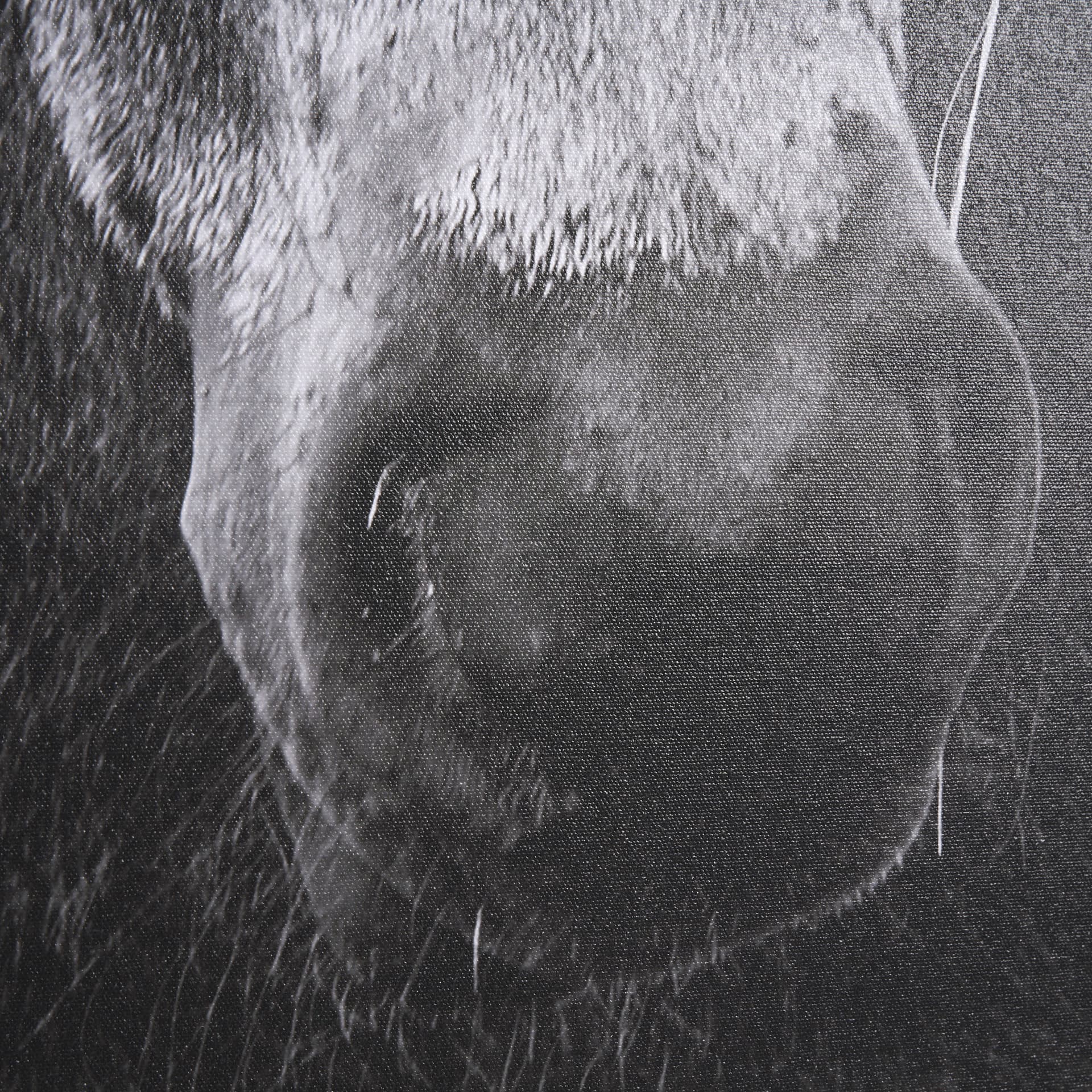 The Foal by Mercana Studio a Hand Embellished Textured Framed Canvas — product photograph