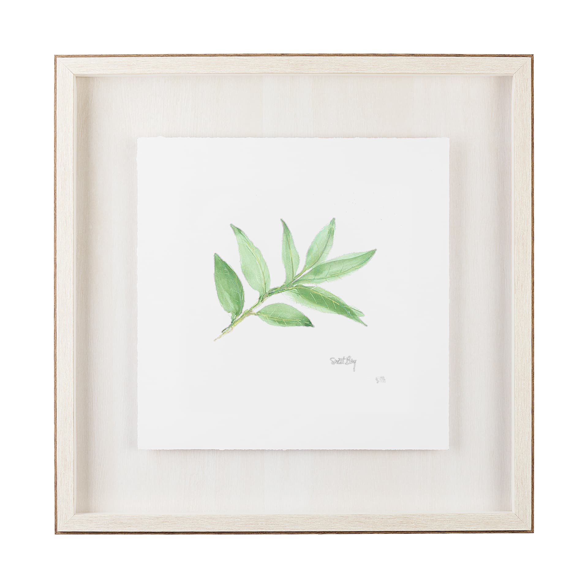 Sweet Bay v2 by Chris Paschke a Framed Art Print Matted under Glass — product photograph