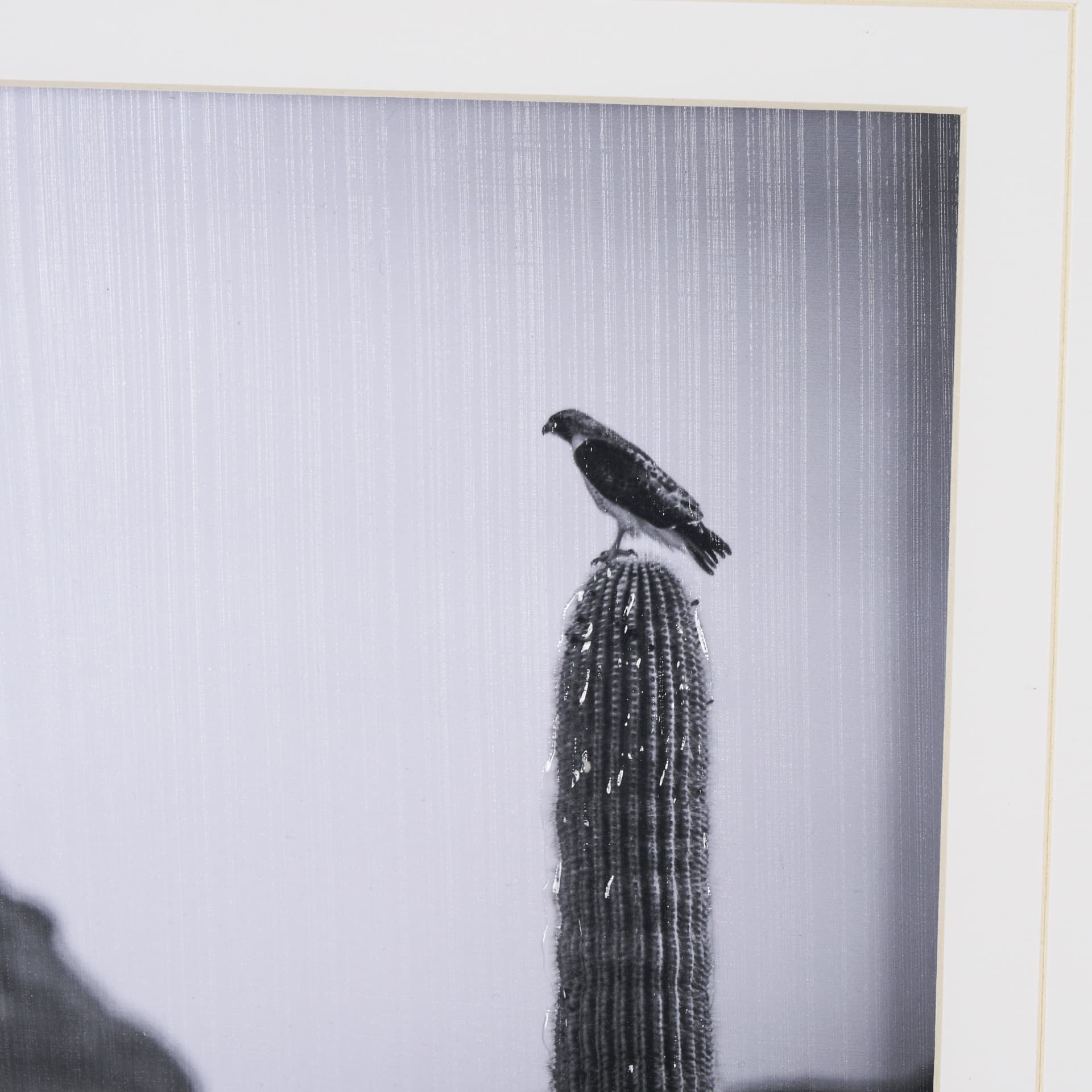 Desert Hunter by Nathan Larson a Hand Embelished Textured Framed Photo Art Print Matted under Glass — product photograph