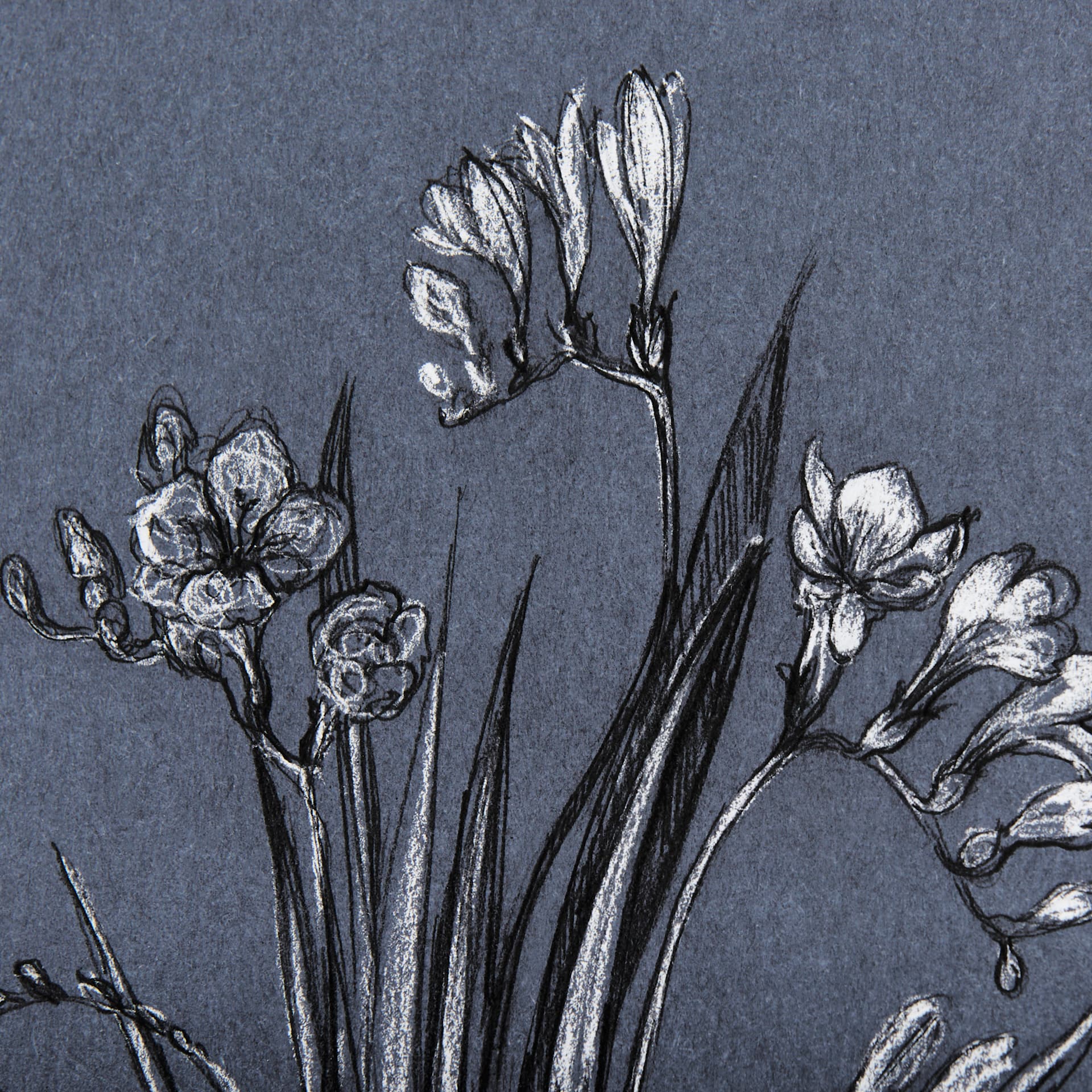 Botanical sketches III (Blue) by Mercana Studio Hand Embellished Framed Art Print Matted under Glass — product photograph