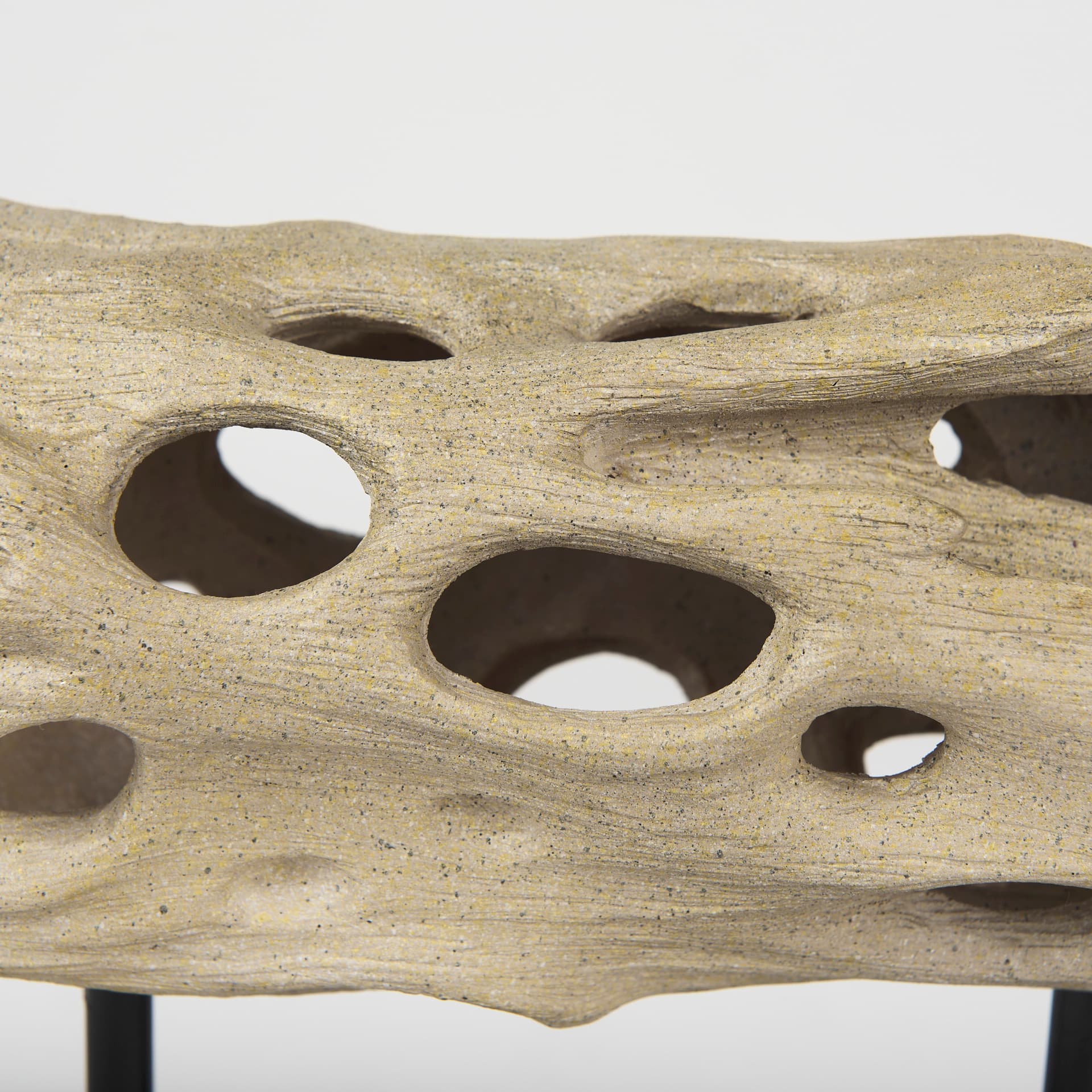 Dwell Cholla Wood Resin Decorative Object — product photograph
