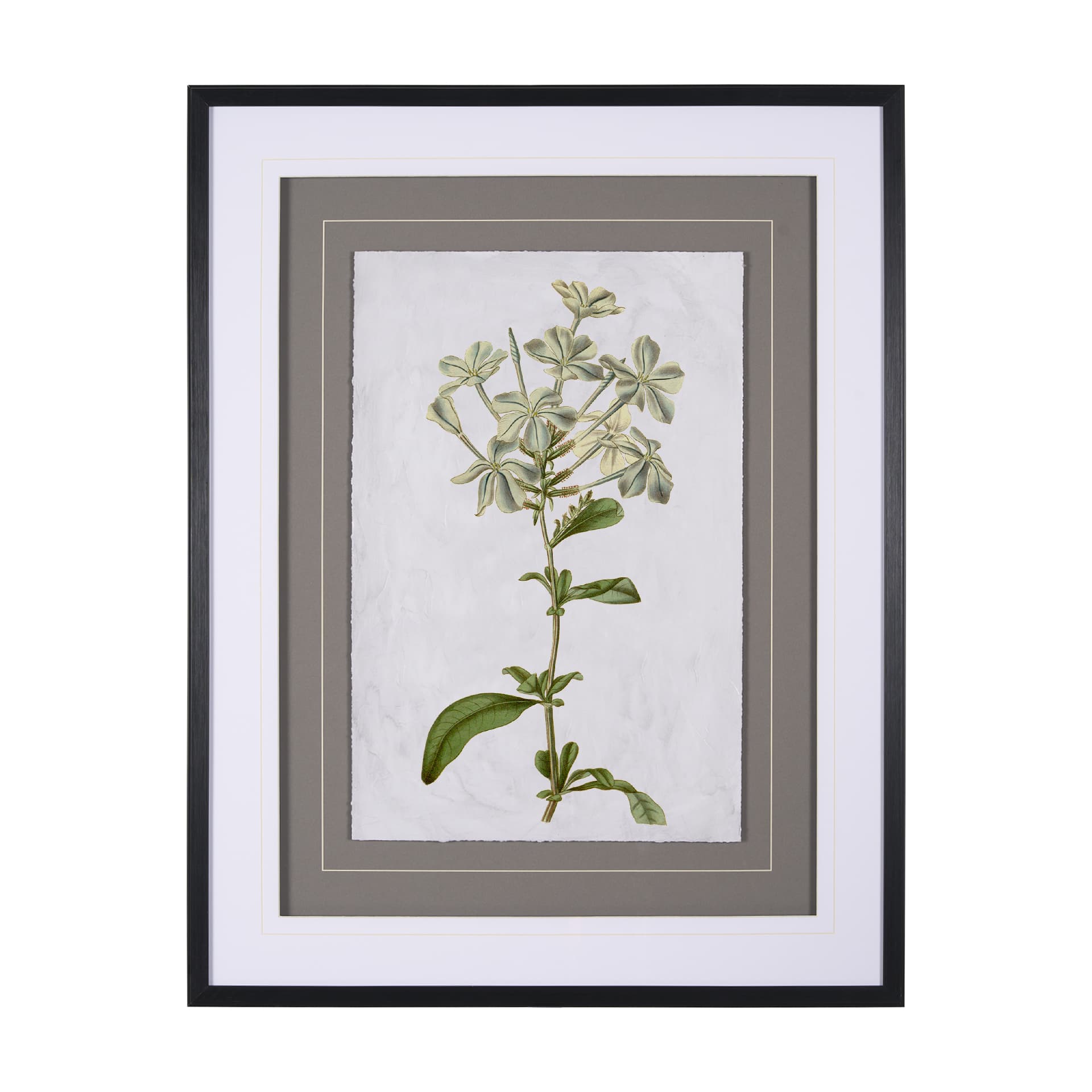 Soft Blue Botanoicals VII by Mercana Studio Hand Embellished Framed Art Print Matted under Glass — product photograph