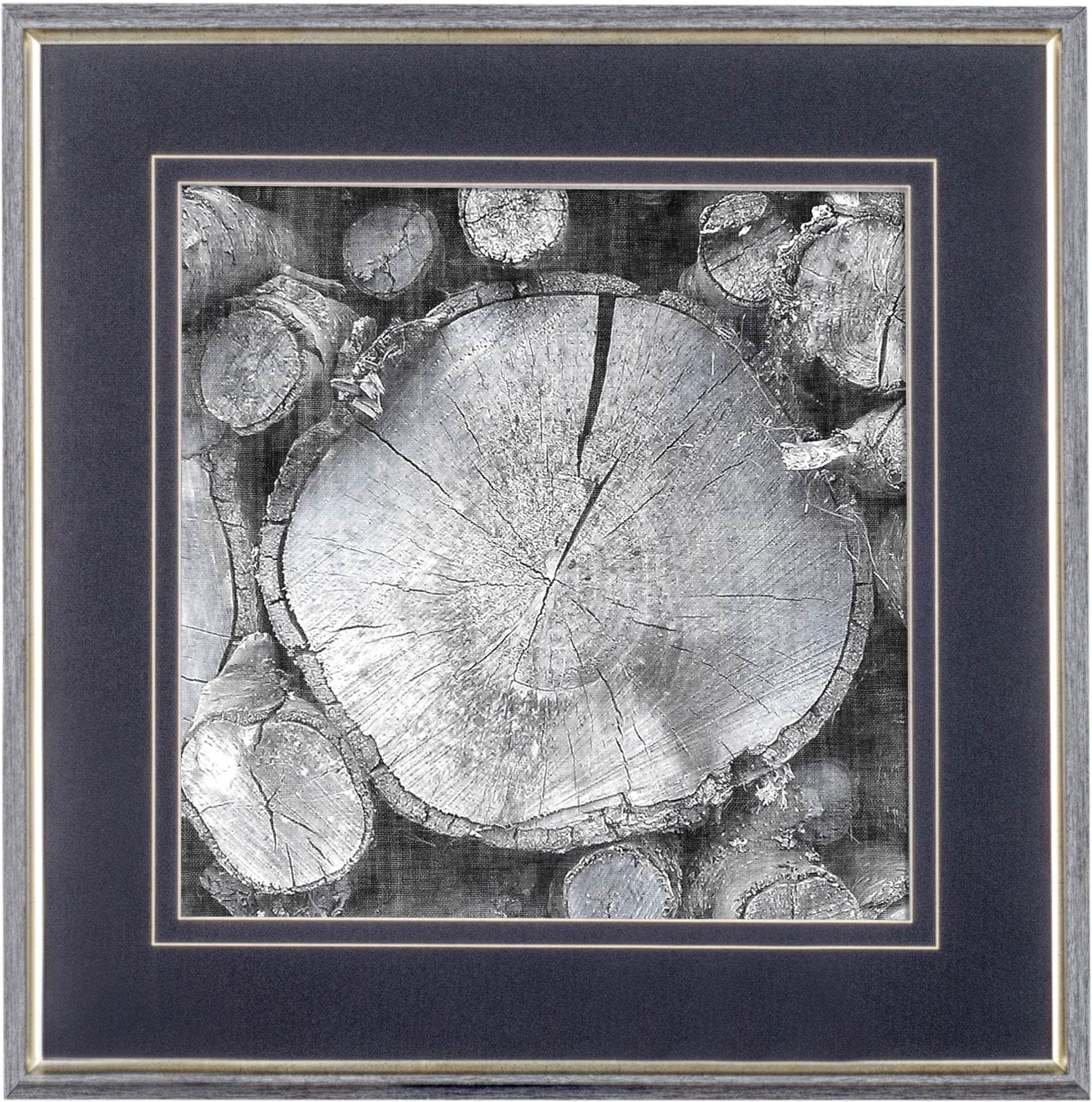 Logging Light VI by John Butler a Hand Embellished Textured Framed Photo Art Print Matted under Glas — product photograph