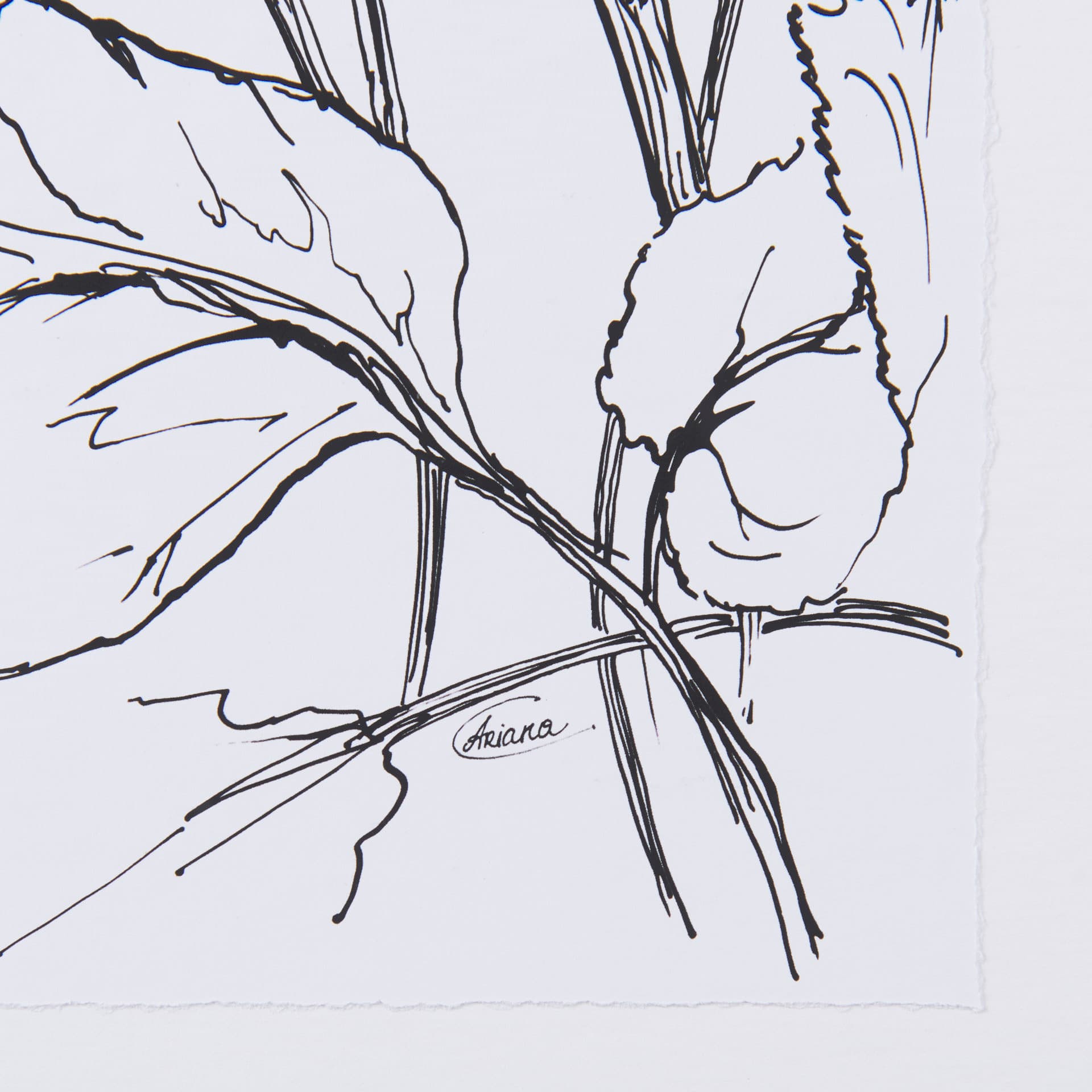 Spring Blooming VIII by Mercana Studio Hand Embellished Textured Framed Art Print Matted under Glass — product photograph