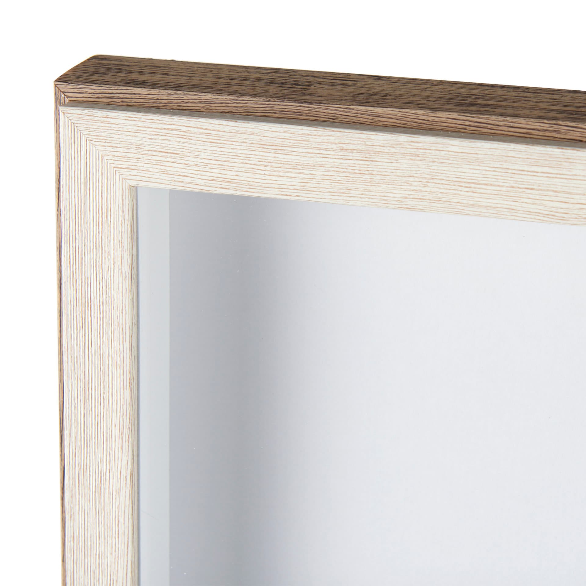 Wild Mane by Mercana Studio a Framed Photo Art Print Matted under Glass — product photograph