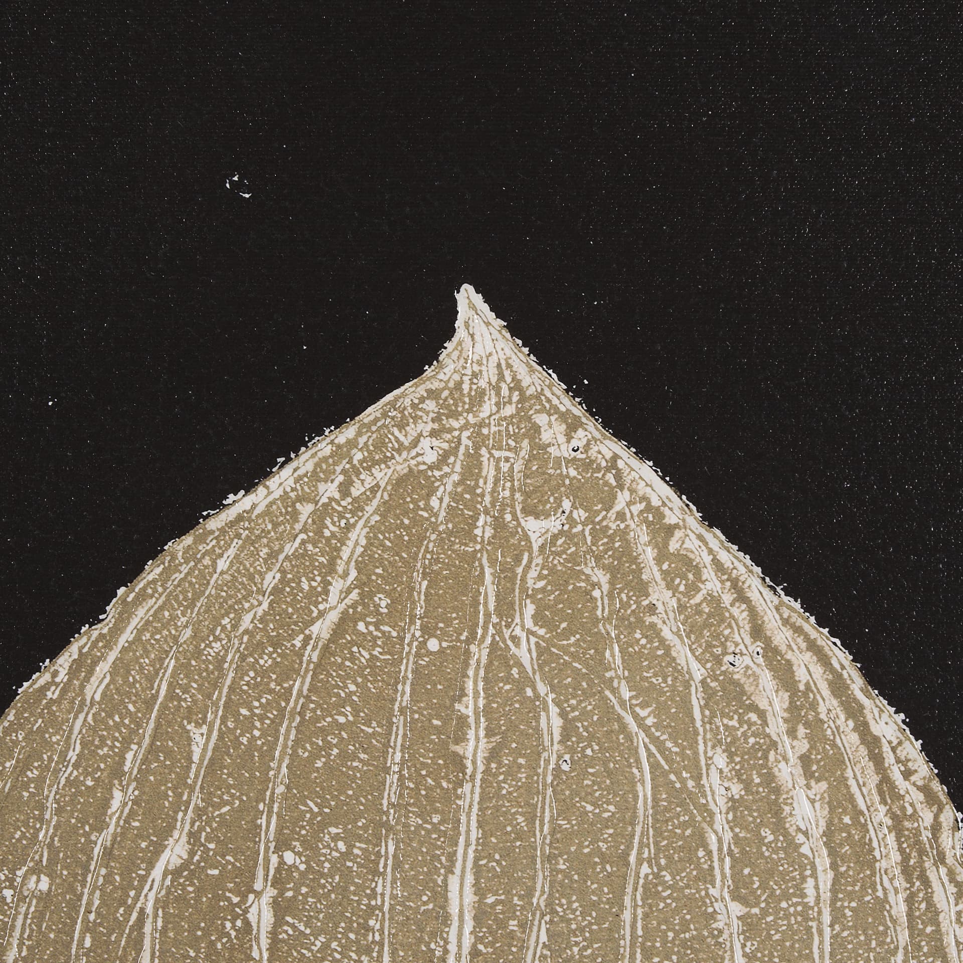 Hosta C by Mary Margaret Briggs a Hand Embelished Textured Framed Art Print — product photograph