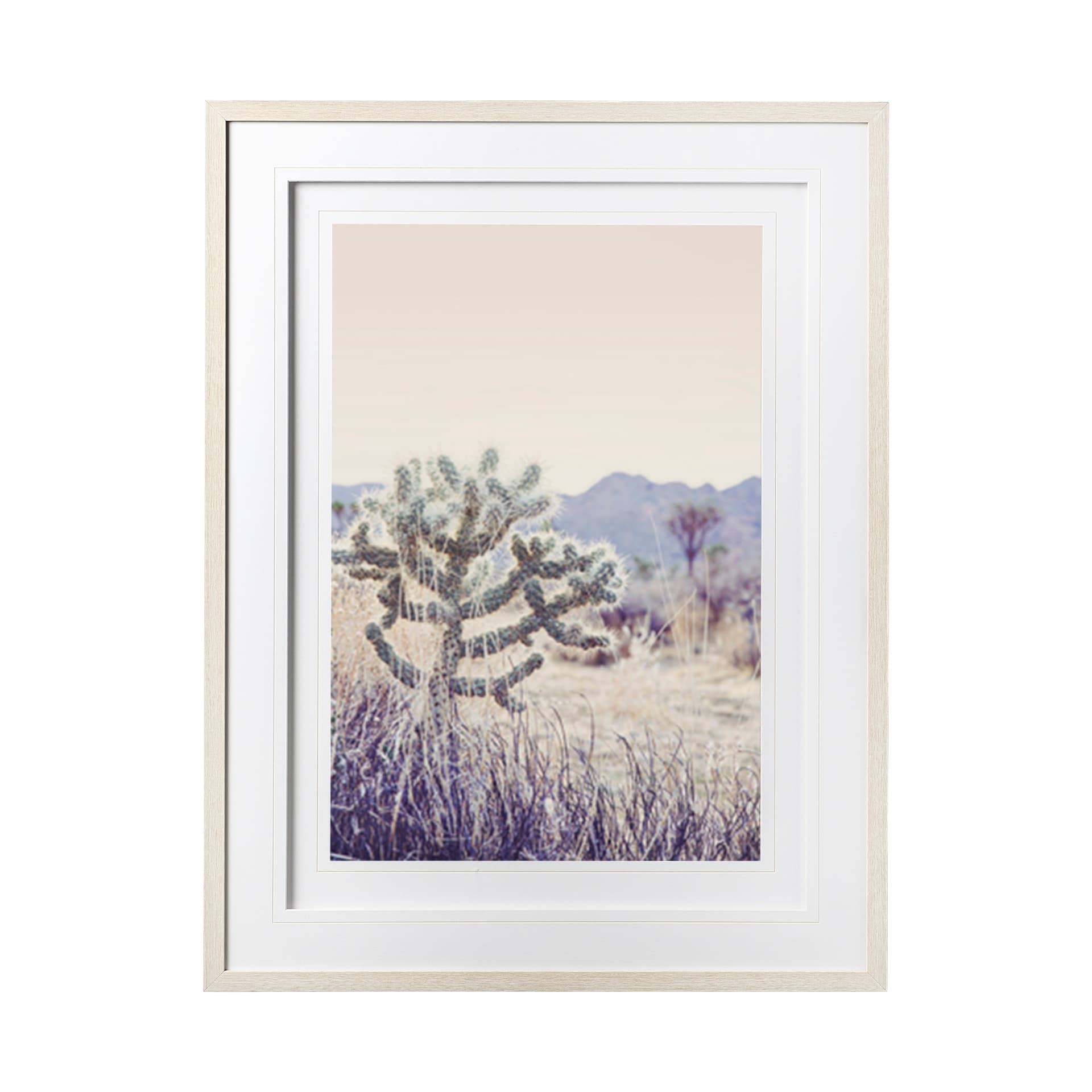 Arid Rose by Irene Suchocki a Hand Embellished Textured Framed Art Photograph Matted under Glass — product photograph