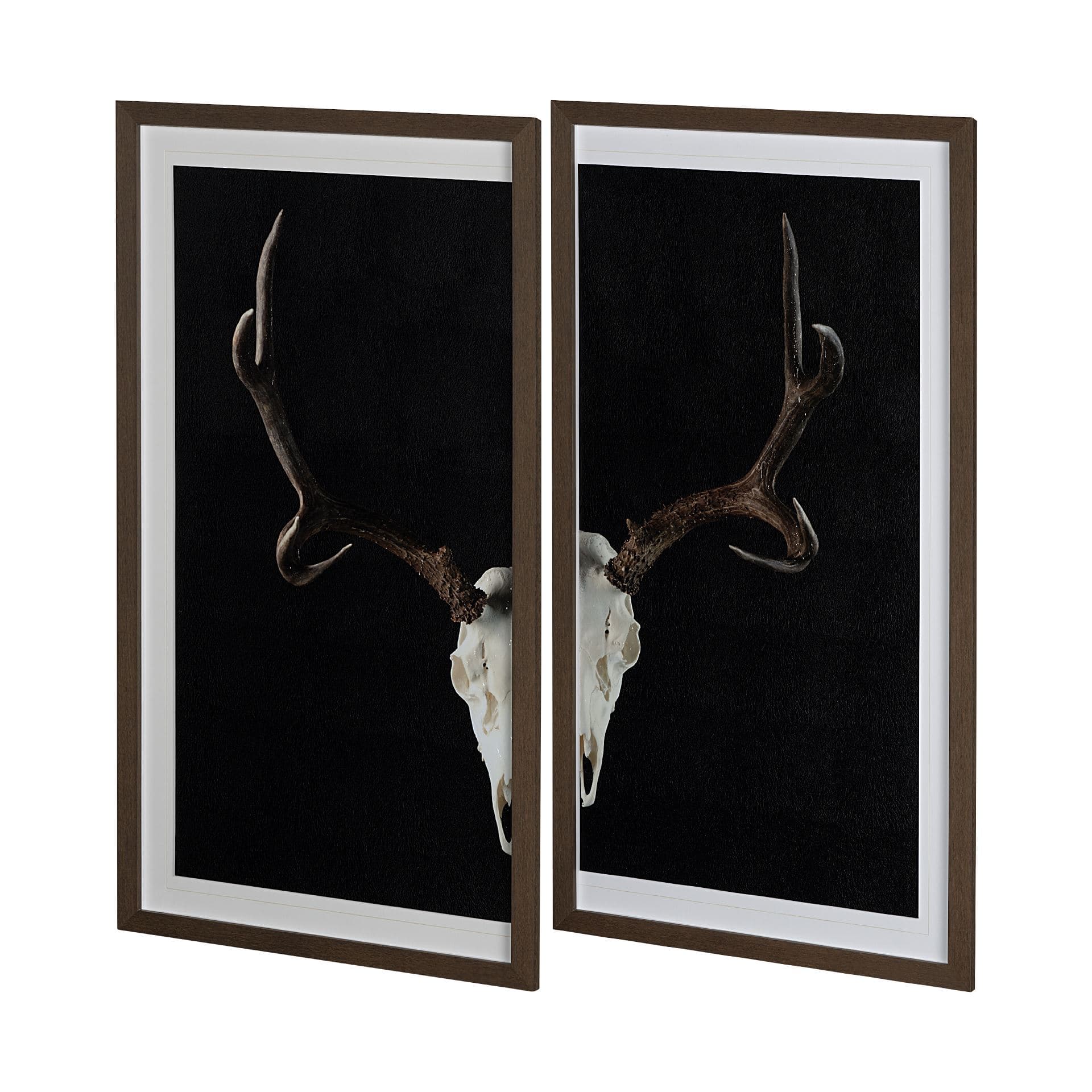 Deer Skull-L by Chris Dunker a Hand Embellished Textured Framed Art Print Matted under Glass — product photograph