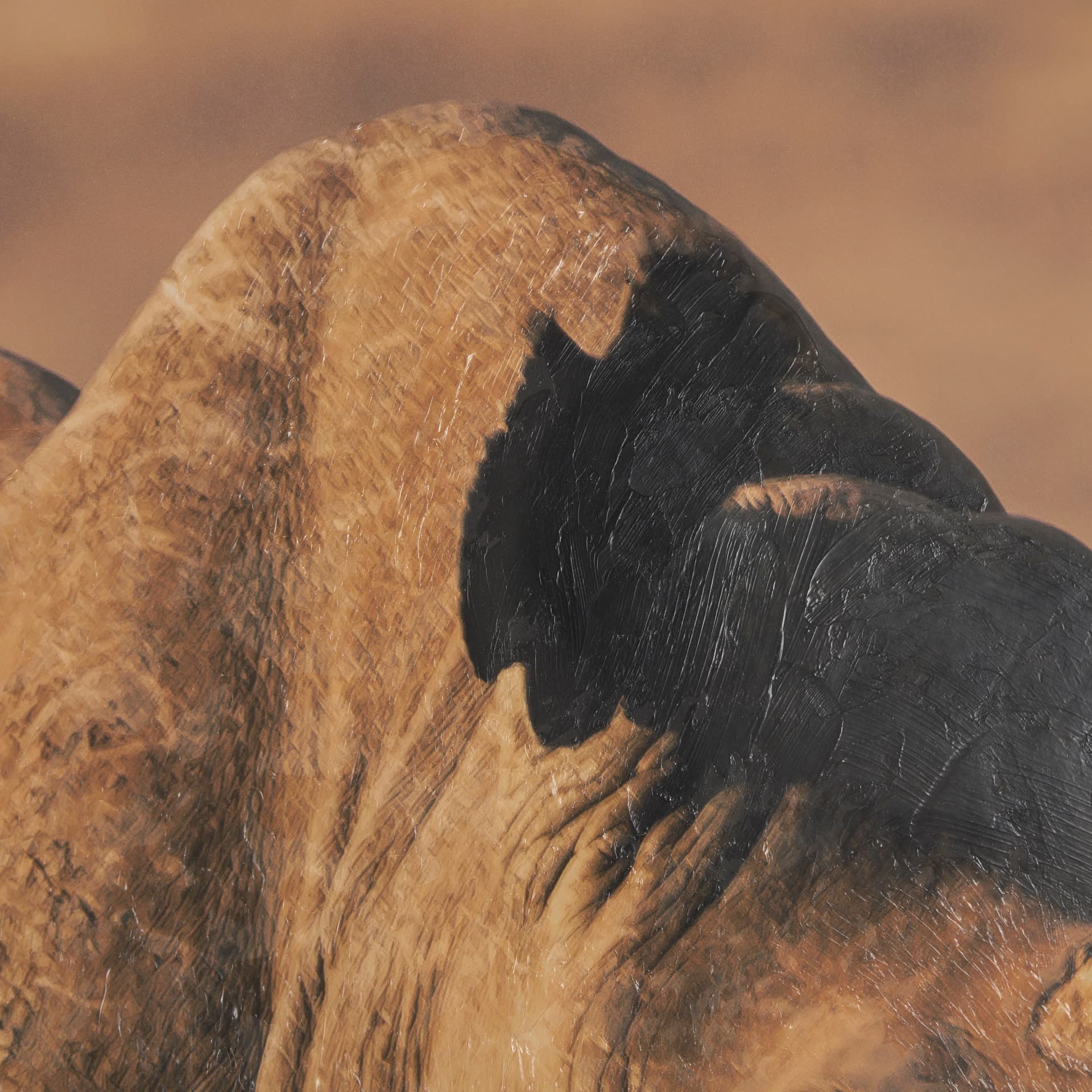 Kenyan Rhino by Max Blakesberg Studios a Hand Embellished Framed Photo Art Print Matted under Glass — product photograph