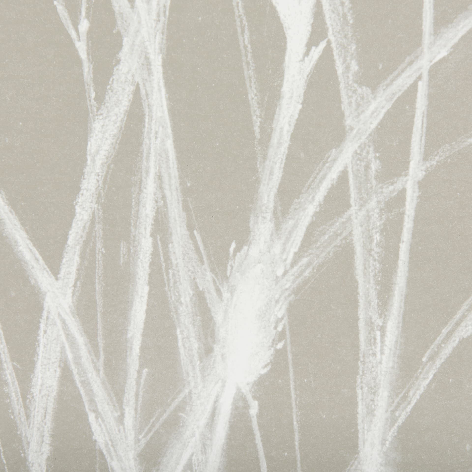 Growing Along The River III by Mercana Studio Framed Matted under Glass — product photograph