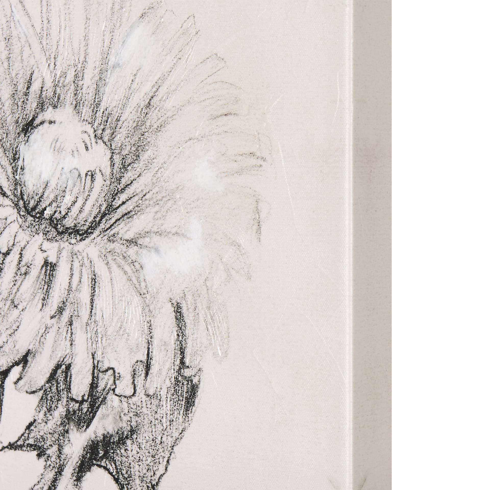 Dandelion Drawing II by Mercana Studio a Hand Embellished Textured Canvas — product photograph