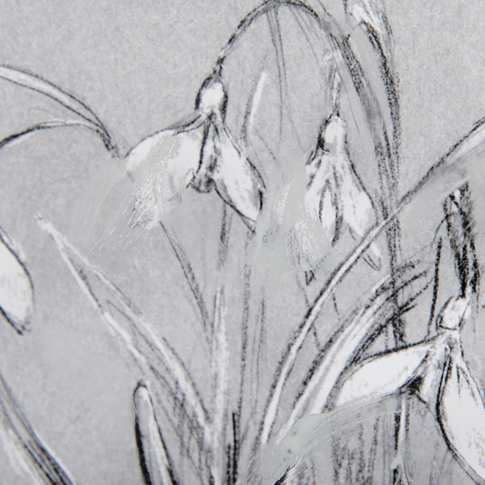 Botanical sketches VI (Grey) by Mercana Studio Hand Embellished Framed Art Print Matted under Glass — product photograph