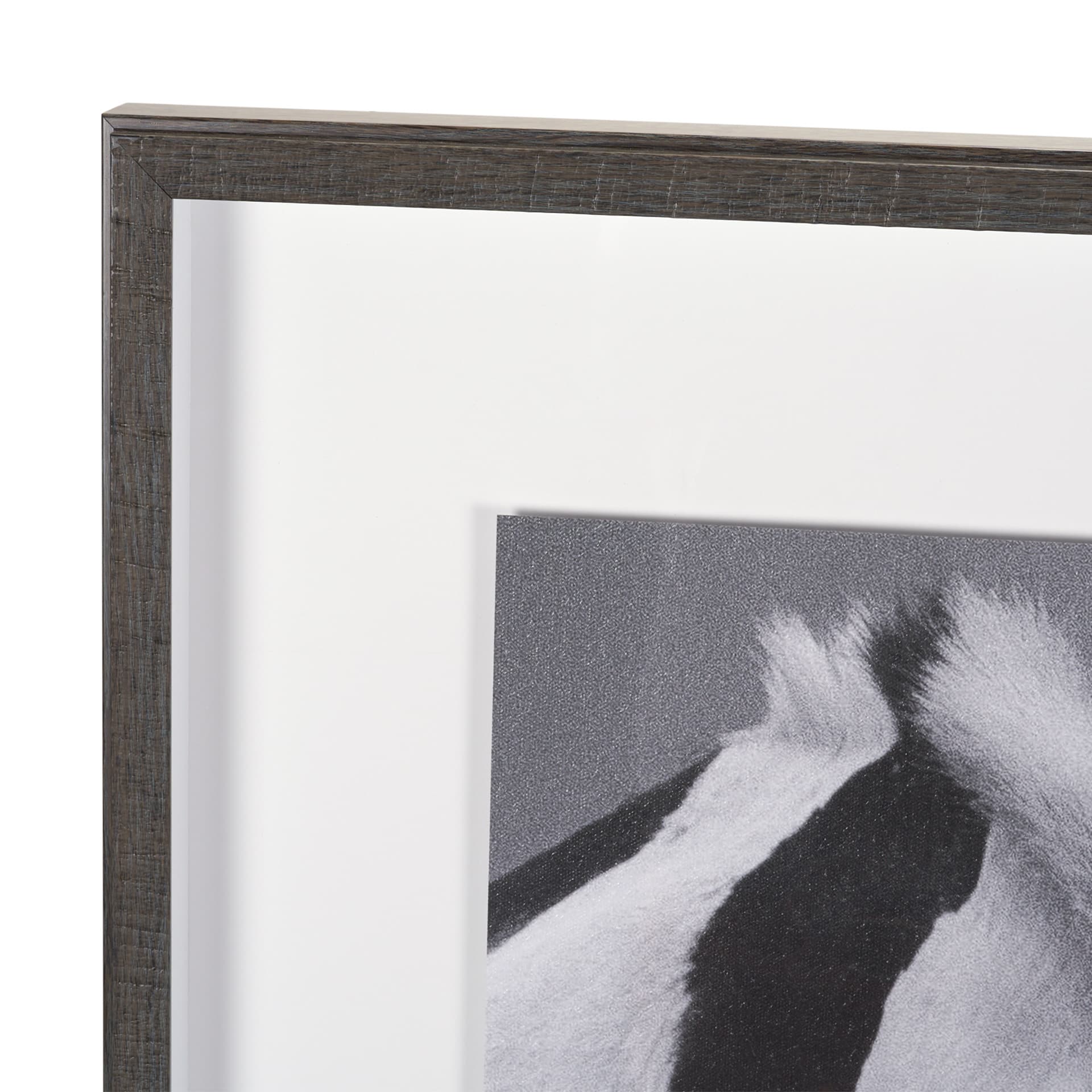 Horse Harmony - Caress by Laura Warren a Hand Embellished Framed Photo Art Print Matted under Glass — product photograph