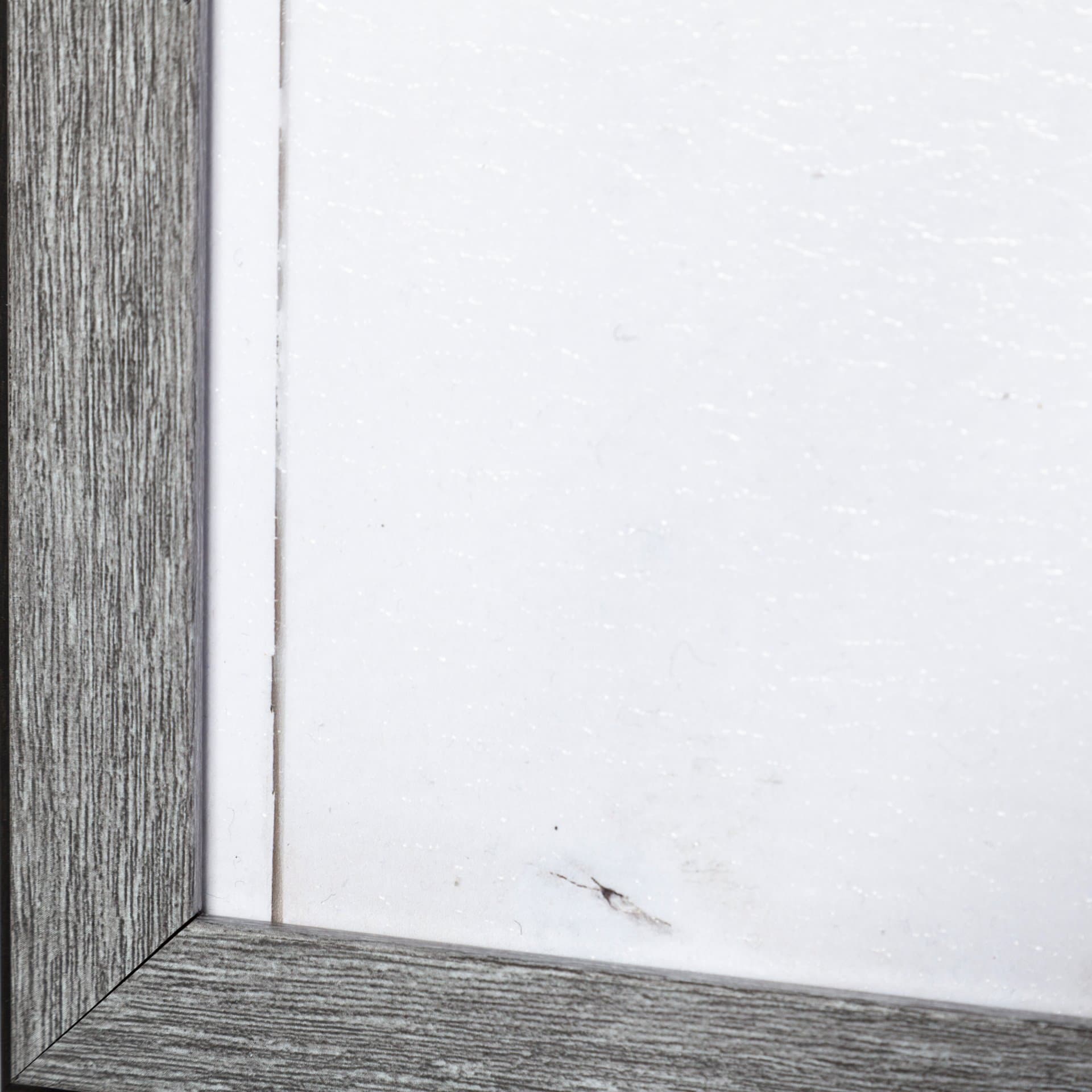 Bowhead Whale by Mercana Studio a Hand Embellished Textured Framed Art Print — product photograph