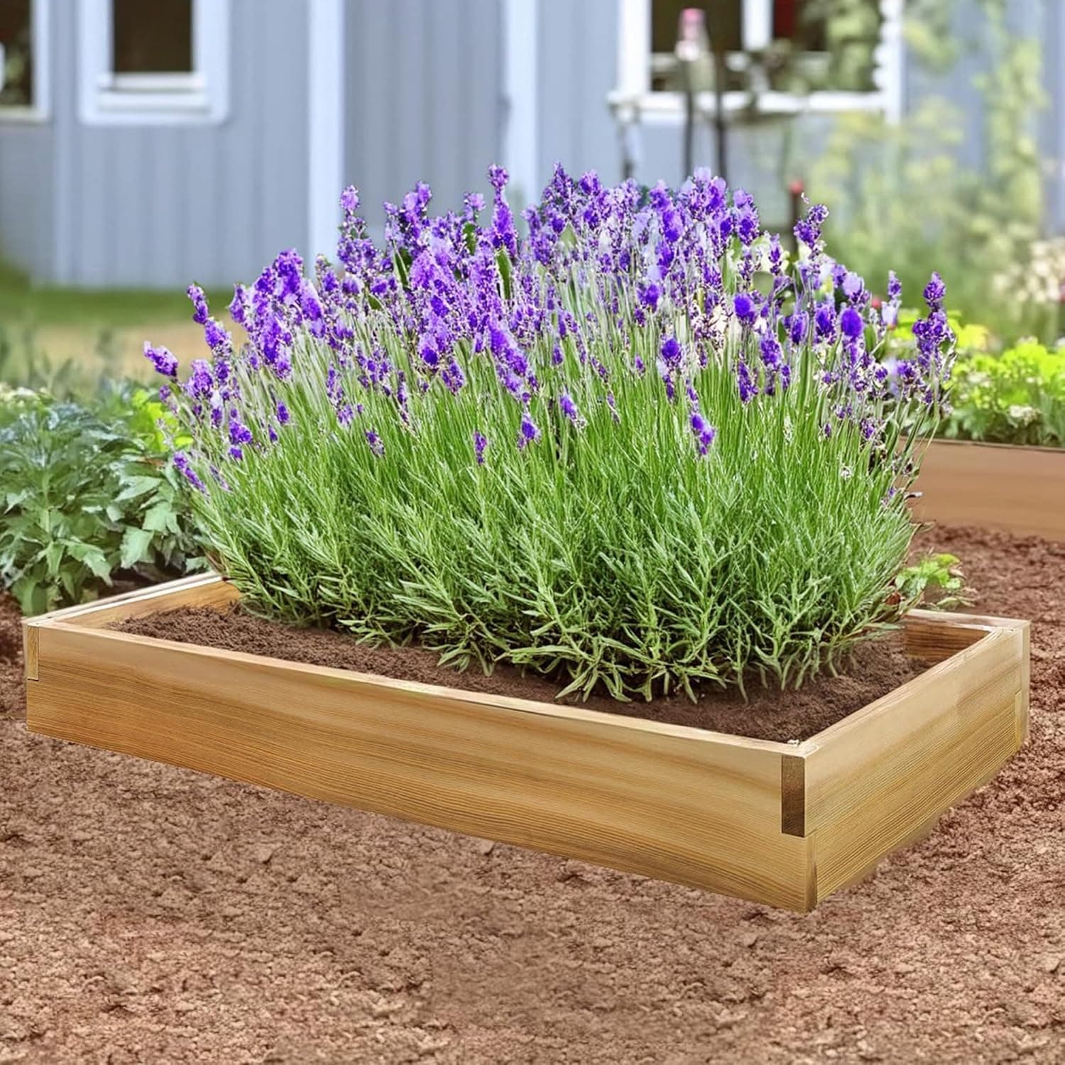 6-ft x 2-ft Raised Cedar Garden Box RG72 — product photograph