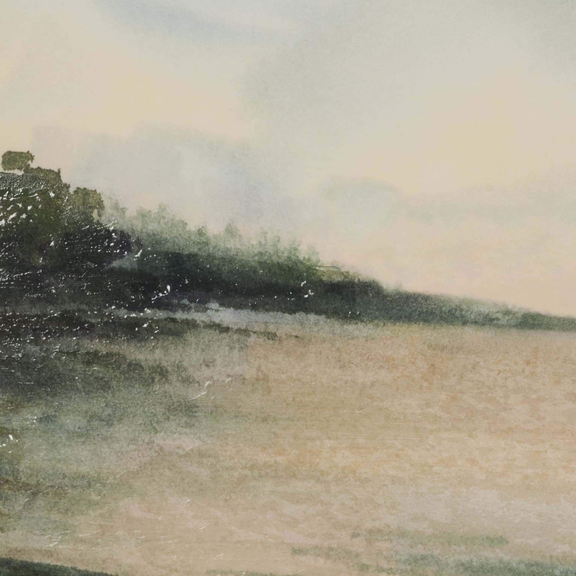 Coastal Splendor II by Mercana Studio Hand Embelished Framed Artwork Matted under Glass — product photograph