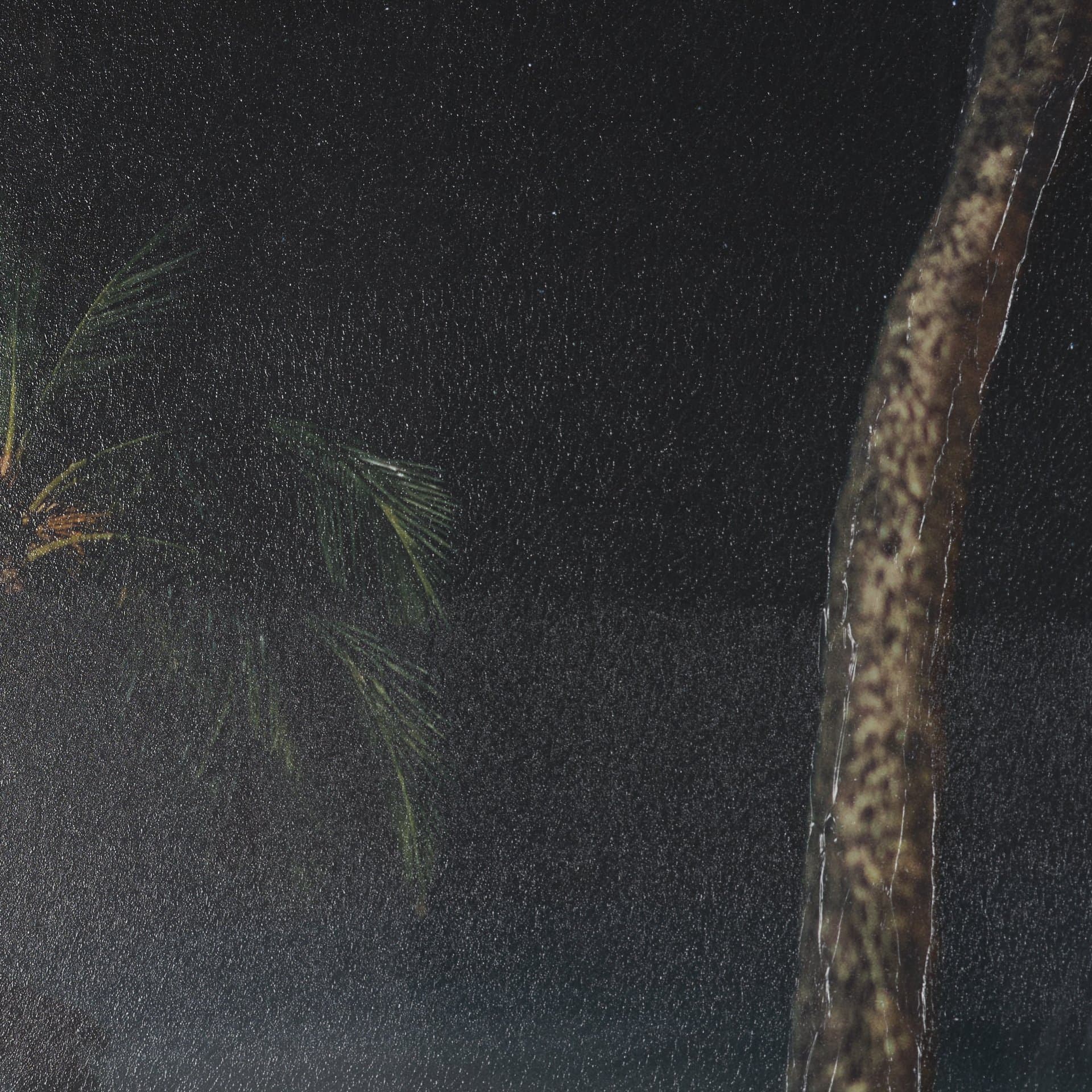 Maui Moonlight by Stefan and Audrey Hand-Embellished Textured Framed Photo Print Matted under Glass — product photograph