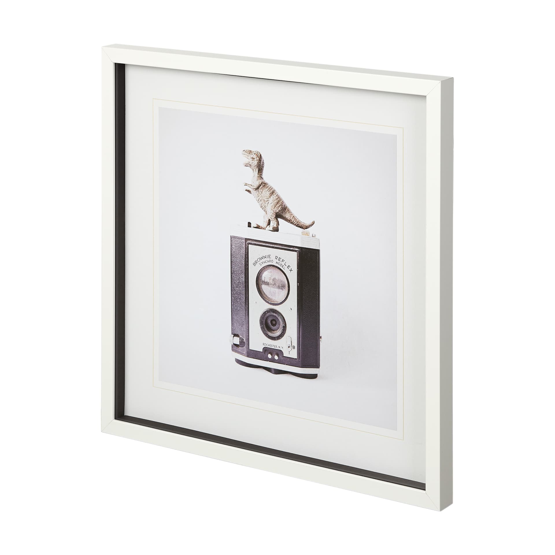 T-rex & Vintage Camera by Susannah Tucker Photography a Framed Photo Art Print Matted under Glass — product photograph